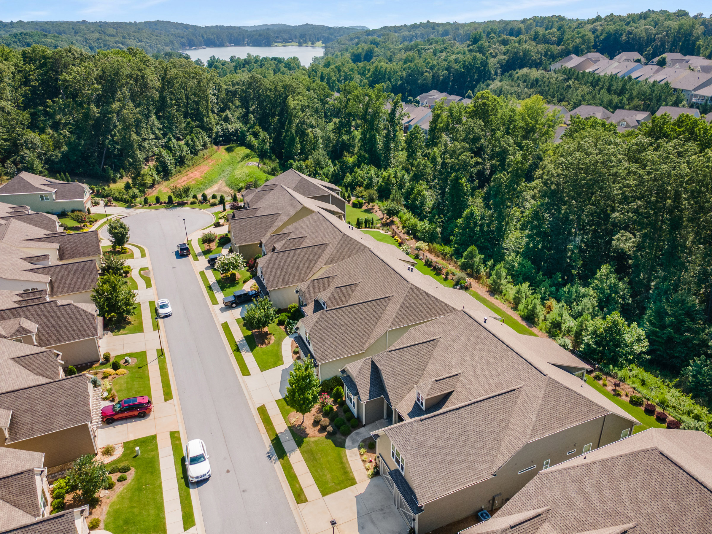  Unrivaled Curated Luxury at Cresswind at Lake Lanier - 物件實景