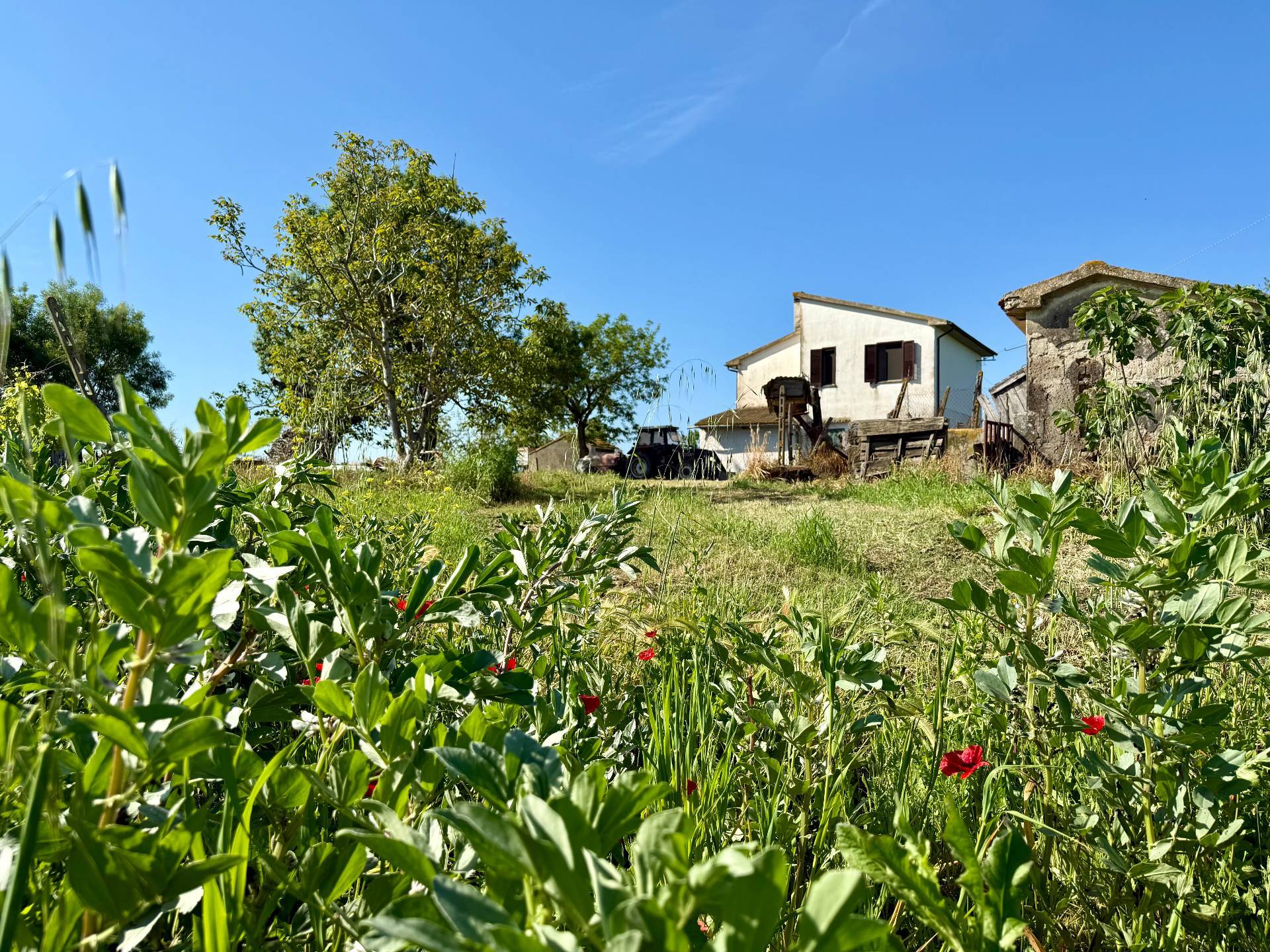 Magliano in Toscana, Grosseto, 58051, IT, 2 Bedrooms Bedrooms, ,1 BathroomBathrooms,Residential,For Sale,1793018