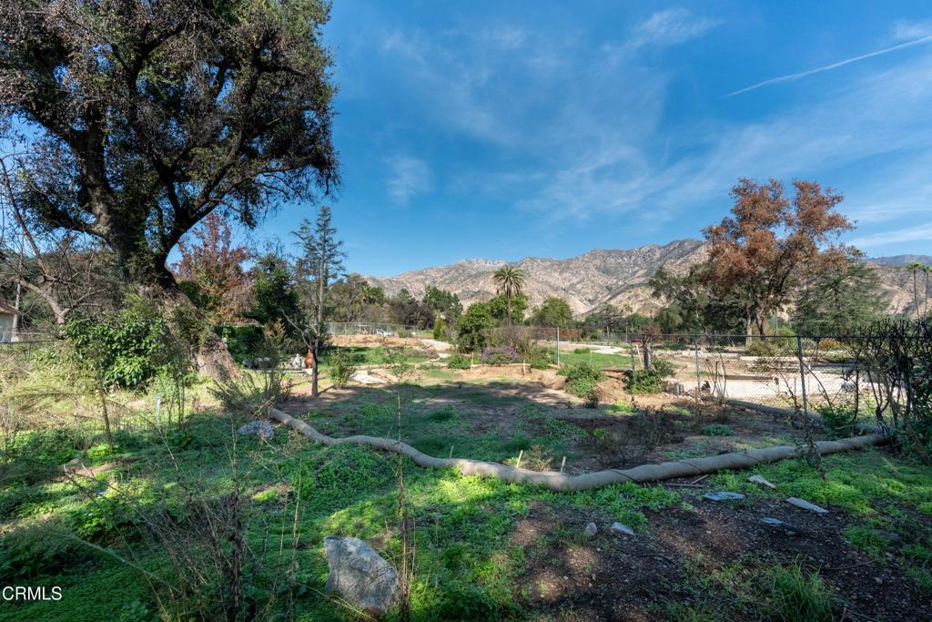 Altadena, California, 91001, United States, ,Land,For Sale,2000567