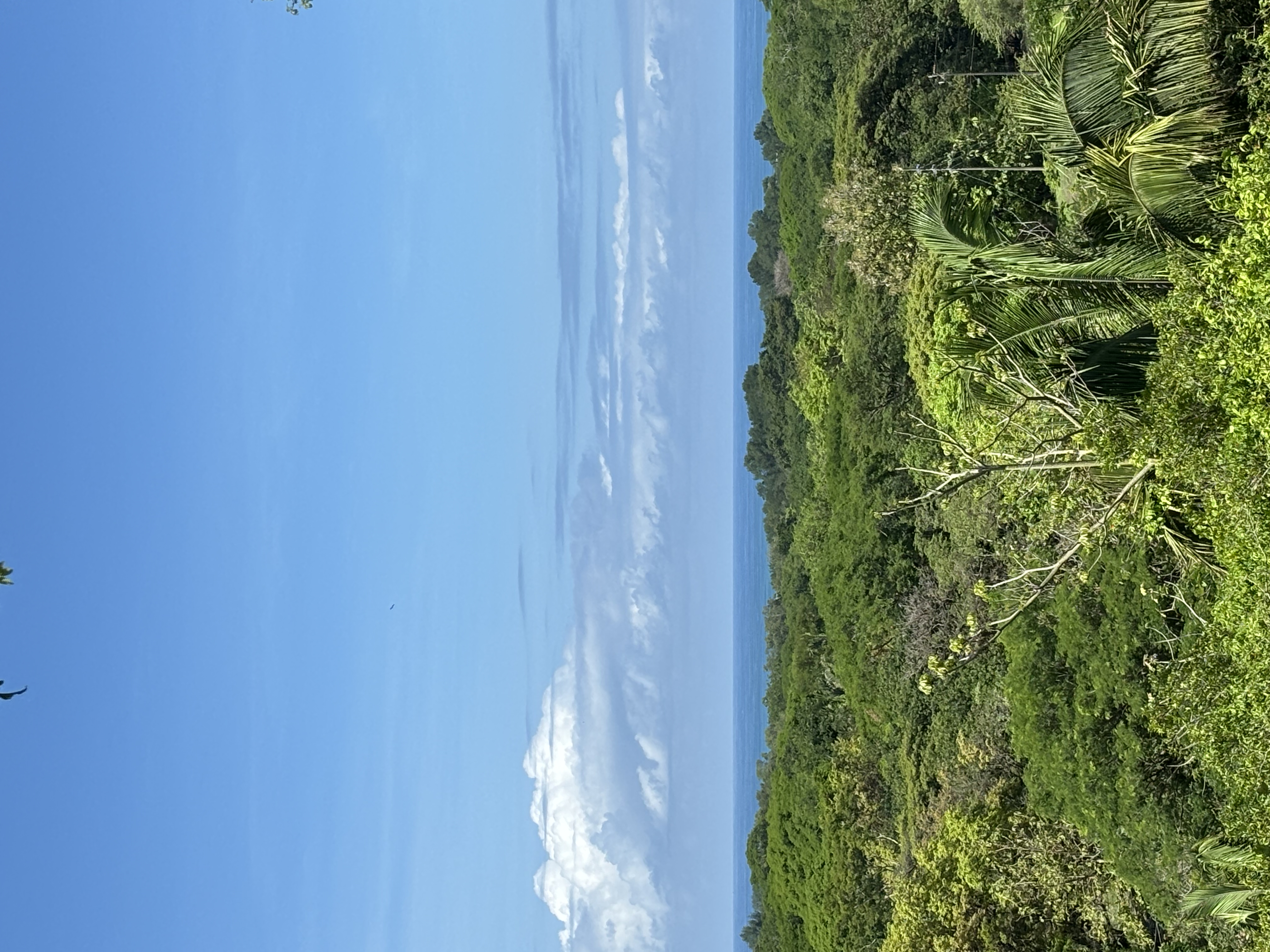 Nosara, Guanacaste, CR, ,Land,For Sale,1669008