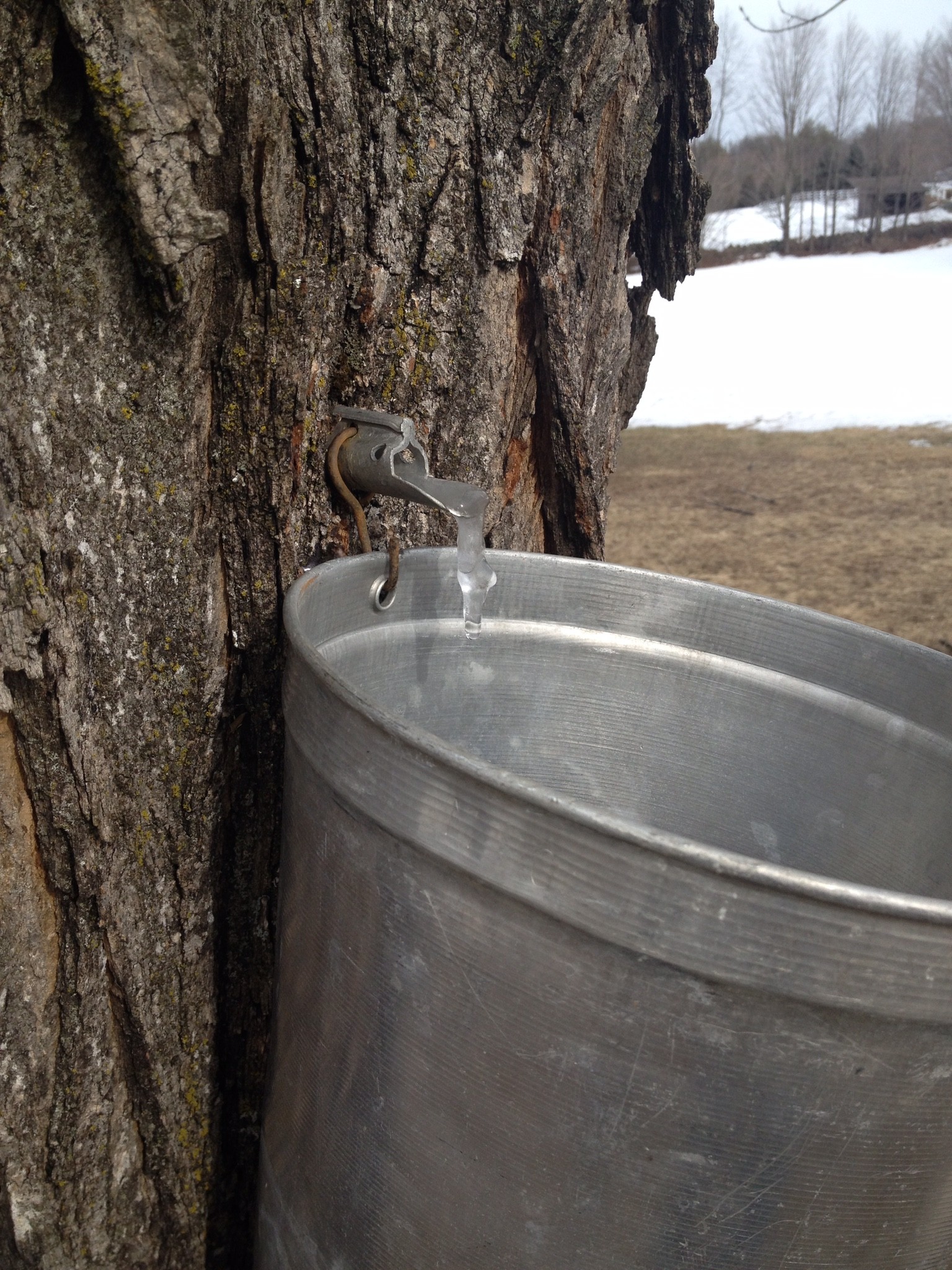  5 Old Manchester Road - 物件實景