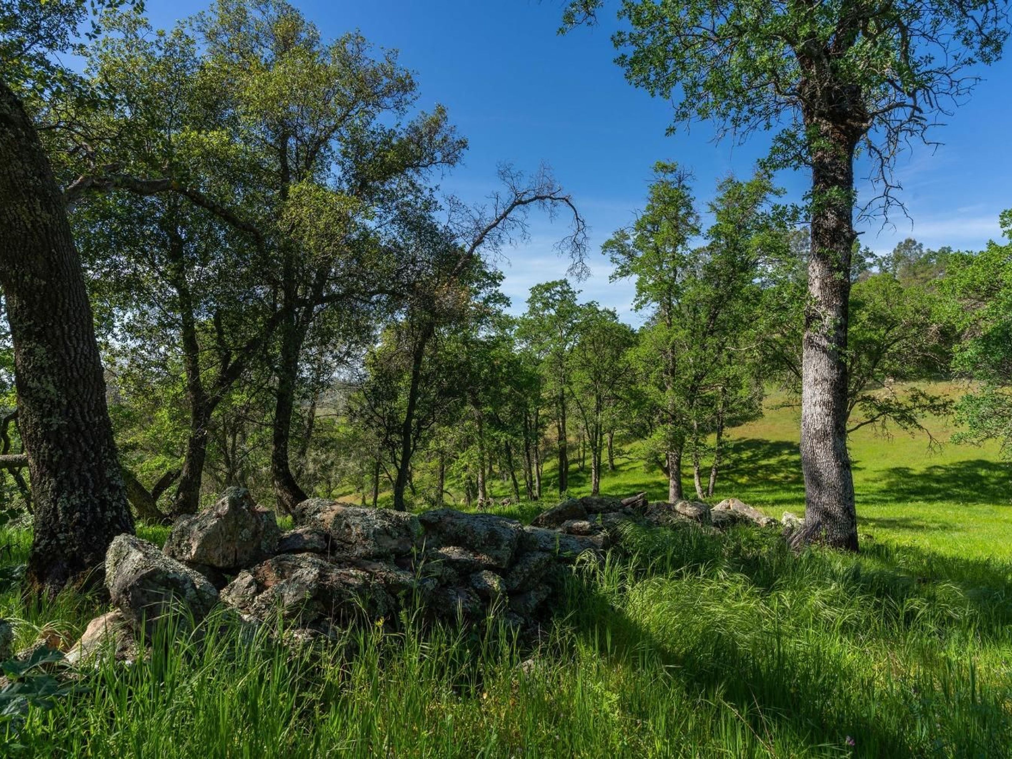 10865 Sunset Drive, Sutter Creek, CA 95685 - 物件實景