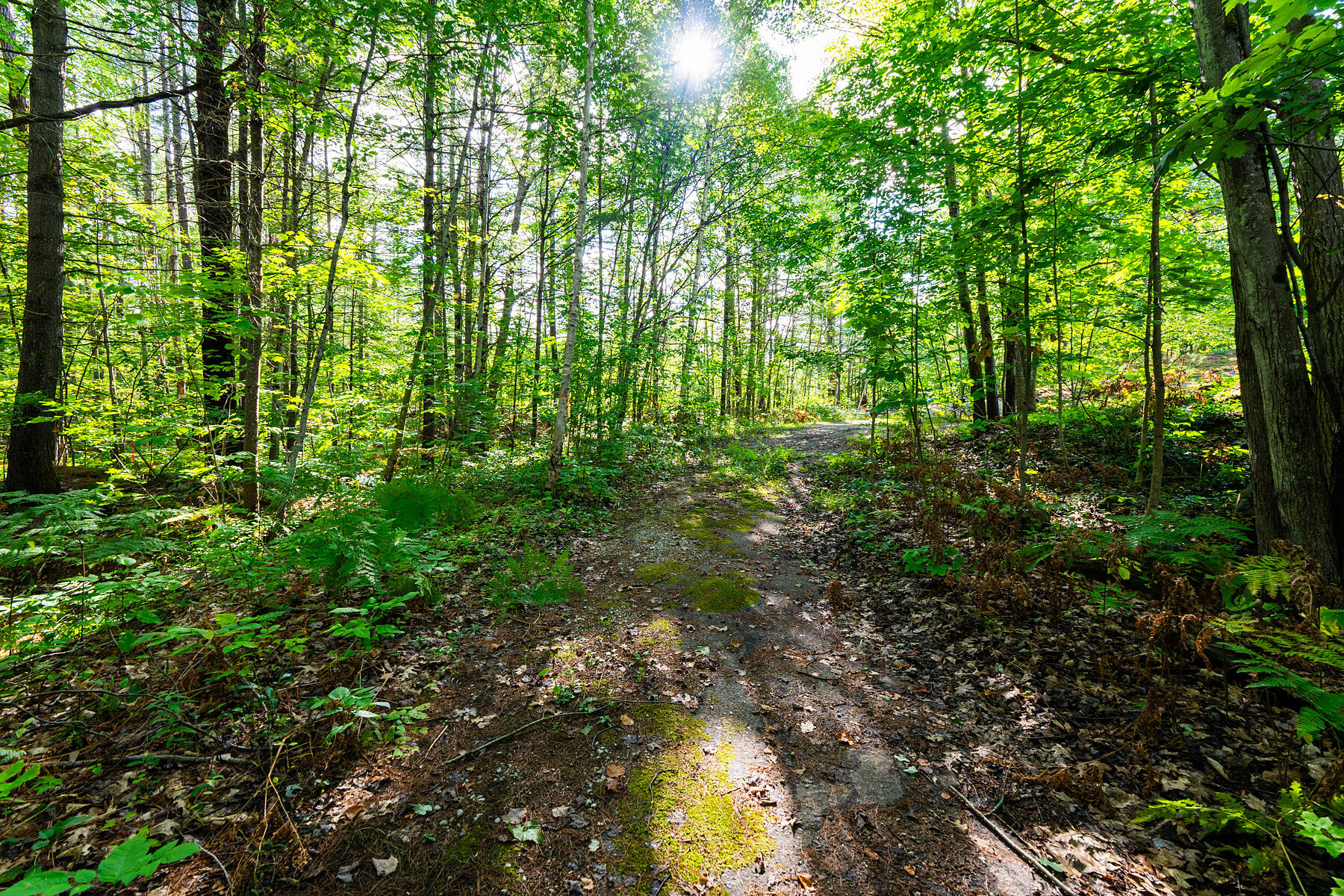  Beautifully Updated Home - 物件實景