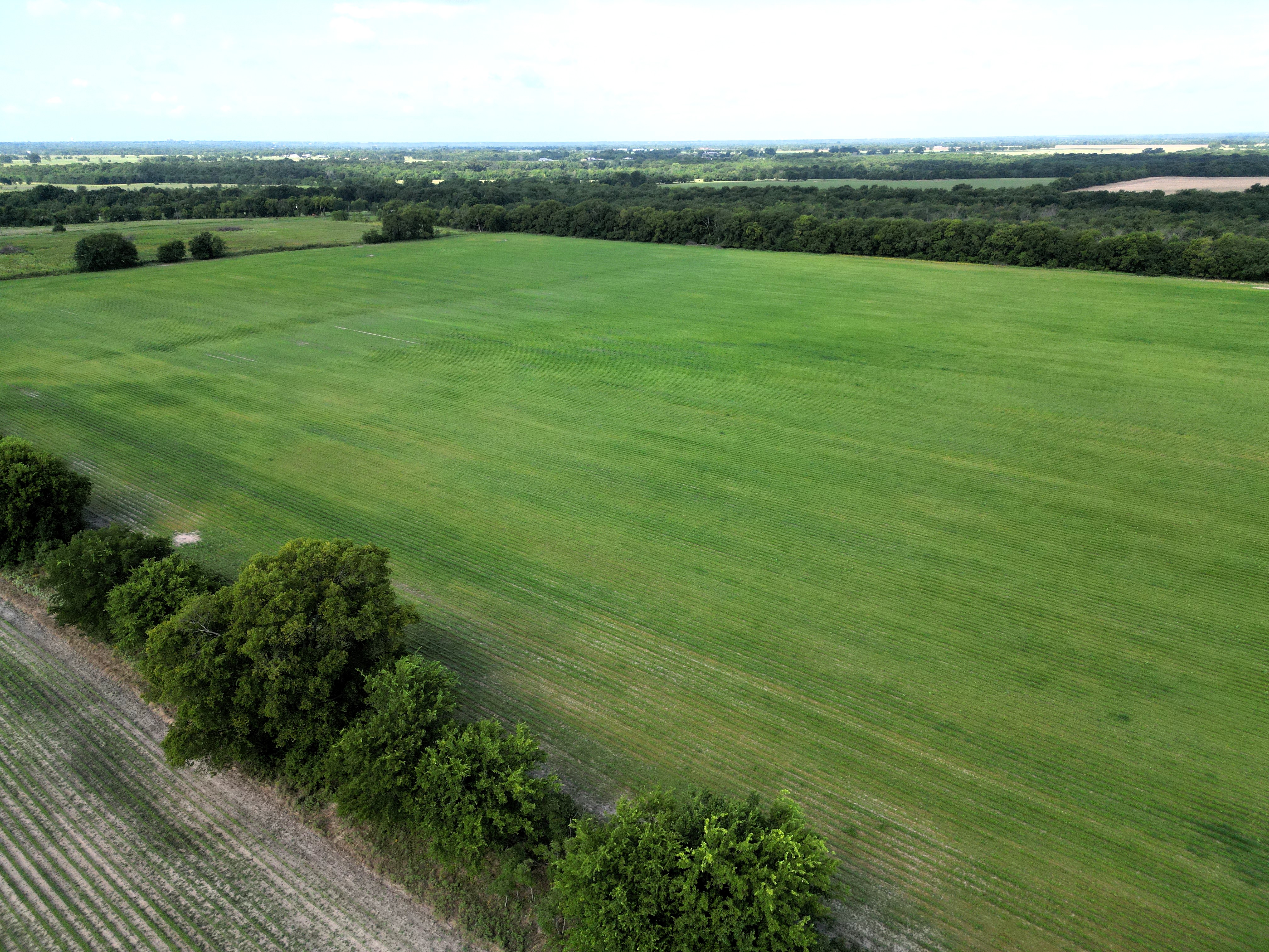 Commerce, Texas, 75428, United States, ,Residential,For Sale,1921218