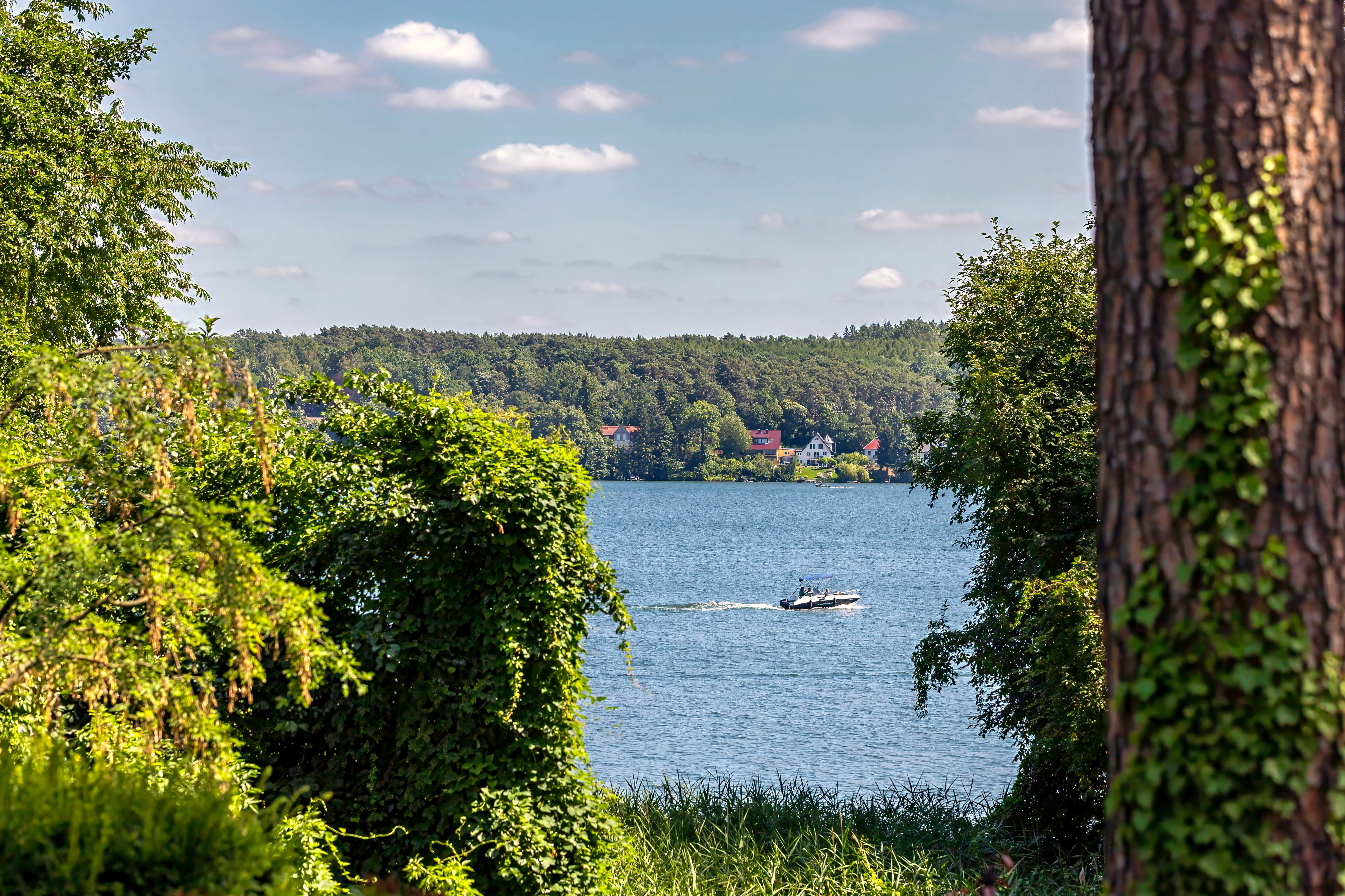  Architecture and Lakeside Living of Exceptional Quality - 物件實景