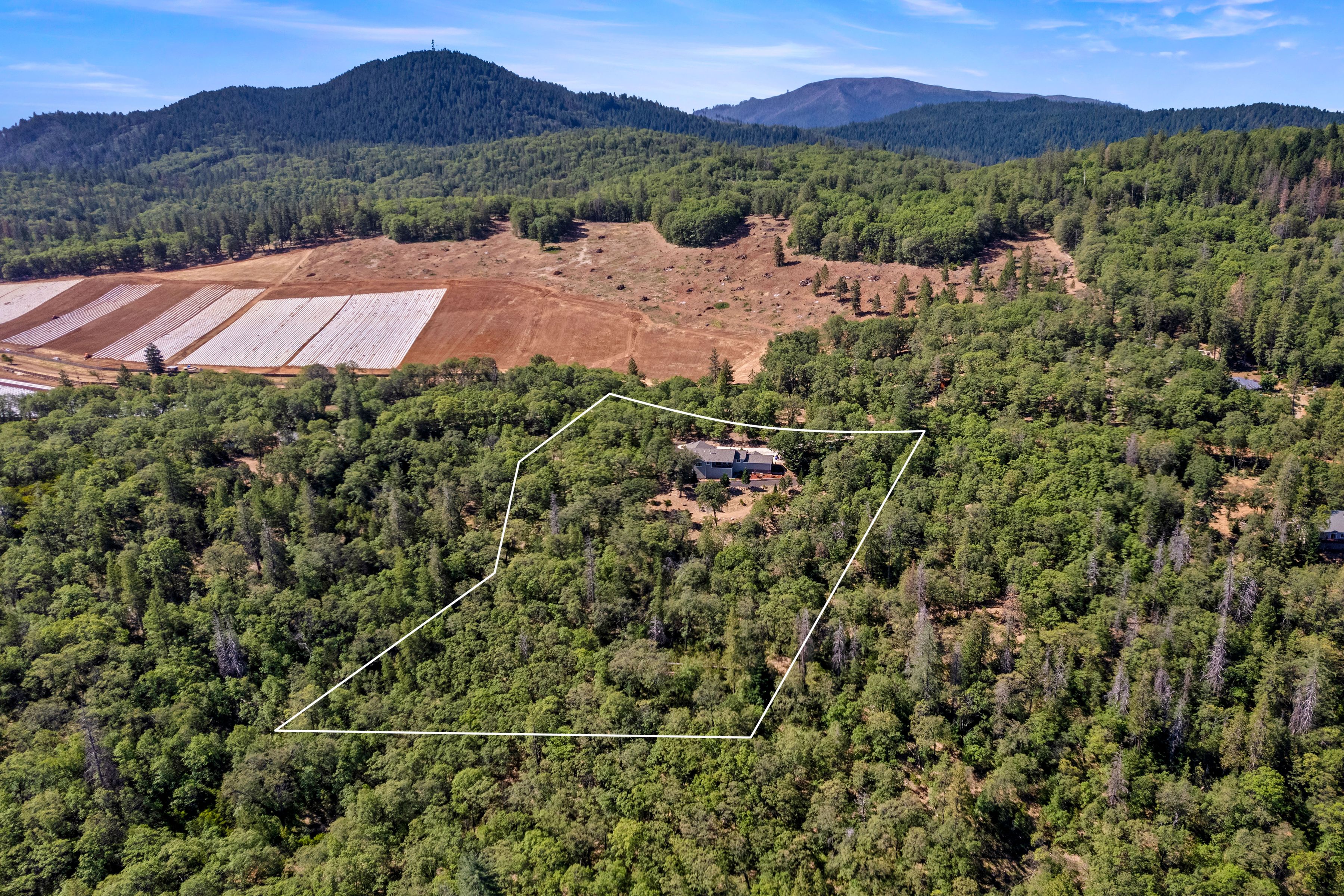  10550 Seigler Springs North Road - 物件實景