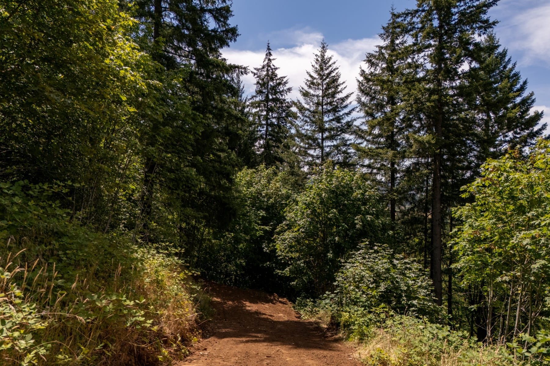  30540 NE BELL RD Newberg, OR 97132 - 物件實景