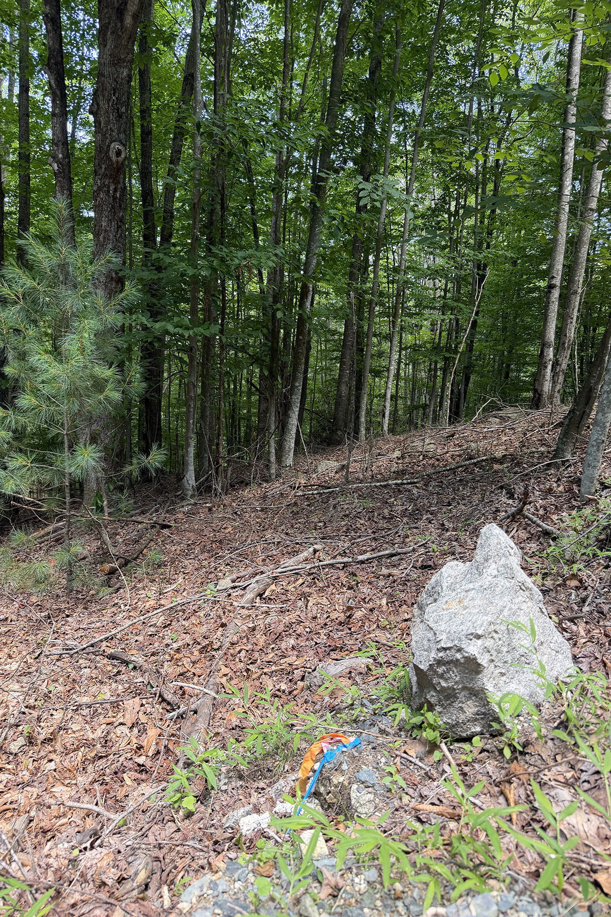  BEECH MOUNTAIN - 物件實景