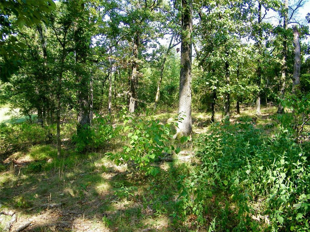 Broken Bow, Oklahoma, 74728, United States, ,Residential,For Sale,1979541