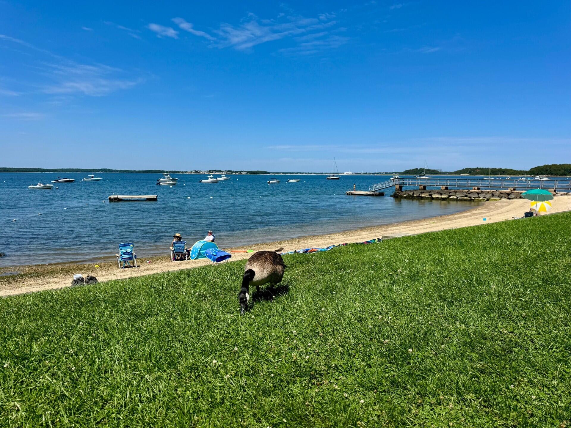 Pocasset, Massachusetts, 02559, United States, 3 Bedrooms Bedrooms, ,1 BathroomBathrooms,Residential,For Sale,1911453