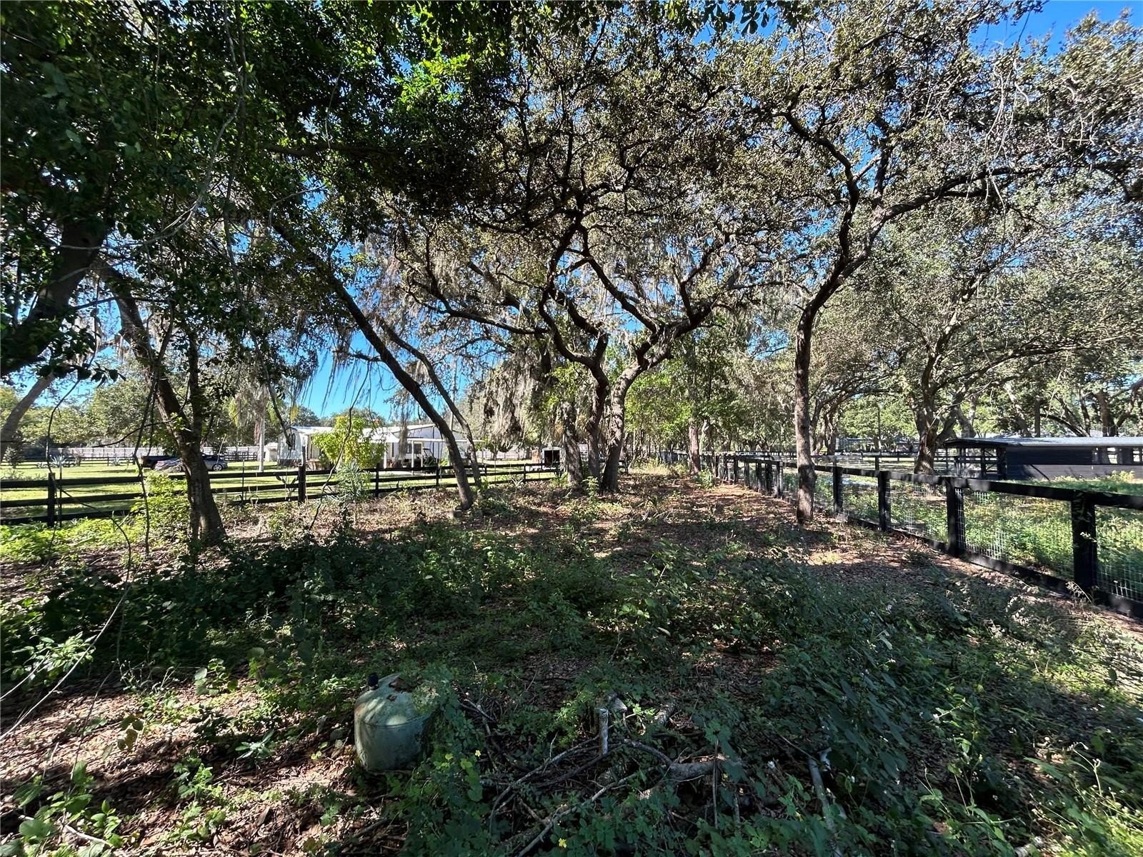 POLK CITY, Florida, 33868, United States, 5 Bedrooms Bedrooms, ,3 BathroomsBathrooms,Residential,For Sale,1984061