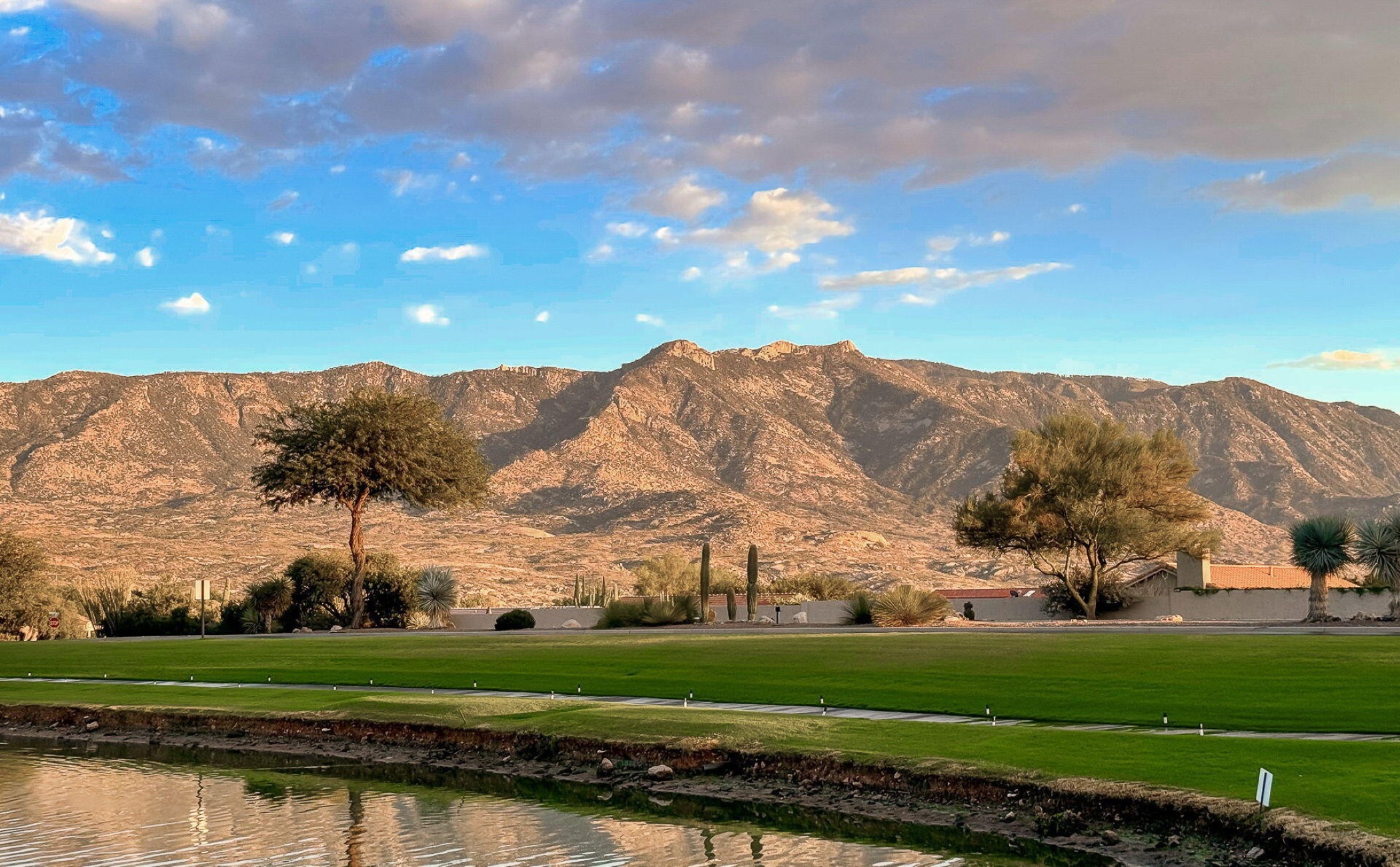  35864 S Ocotillo Canyon Drive¦Tucson, AZ, 85739 - 物件實景
