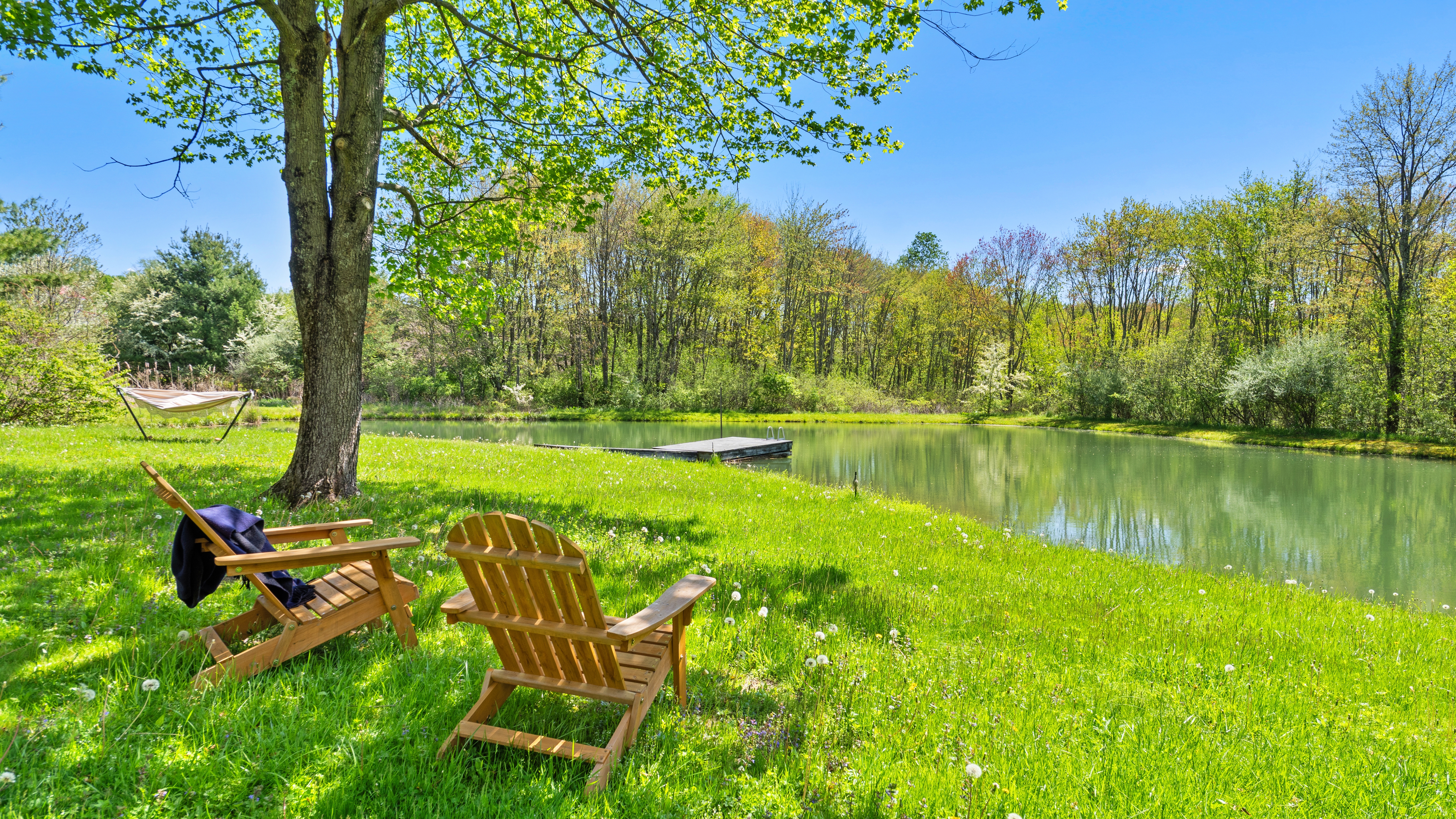  Modern Country Estate with Swim Pond near Chatham & Kinderhook - 物件實景