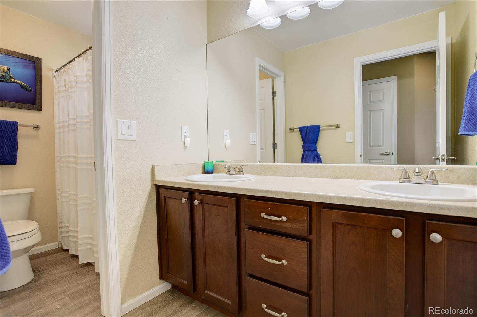 Thornton, Colorado, 80602, United States, 5 Bedrooms Bedrooms, ,3 BathroomsBathrooms,Residential,For Sale,1867476