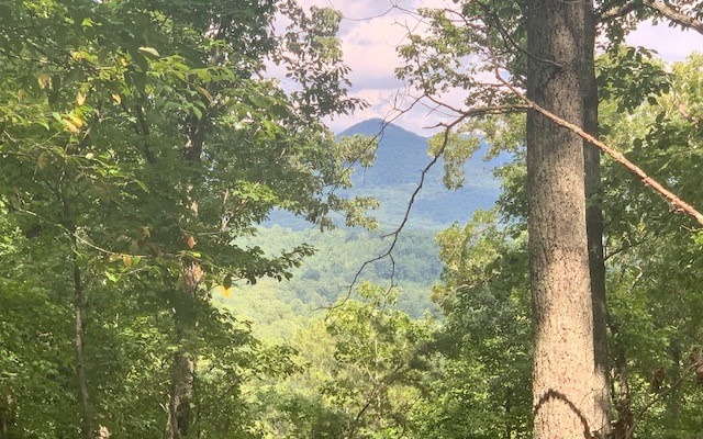 Jasper, Georgia, 30143, United States, ,Residential,For Sale,1916638