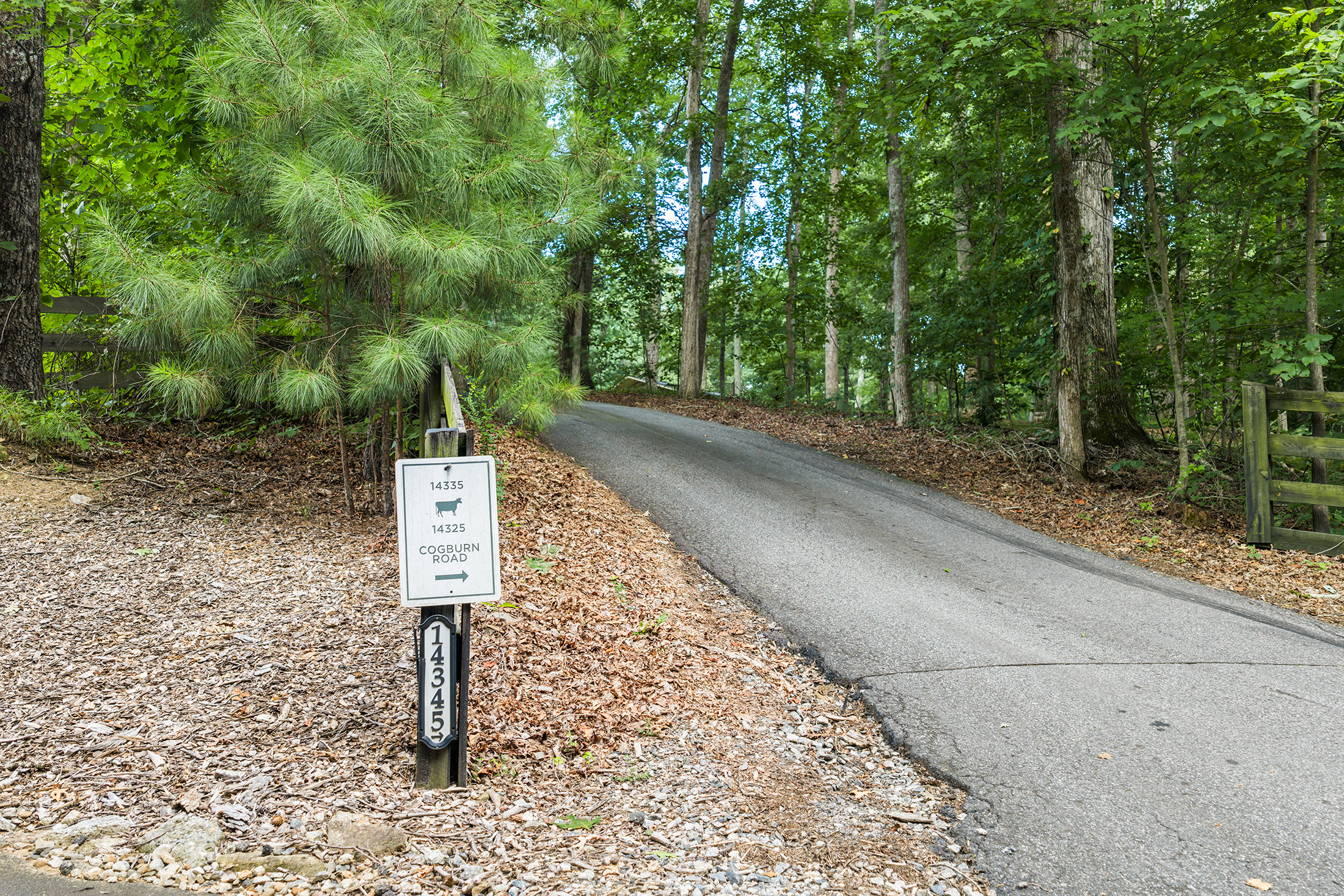  Home Offers a Serene, Wooded Escape Without Giving Up an Inch of Convenience - 物件實景