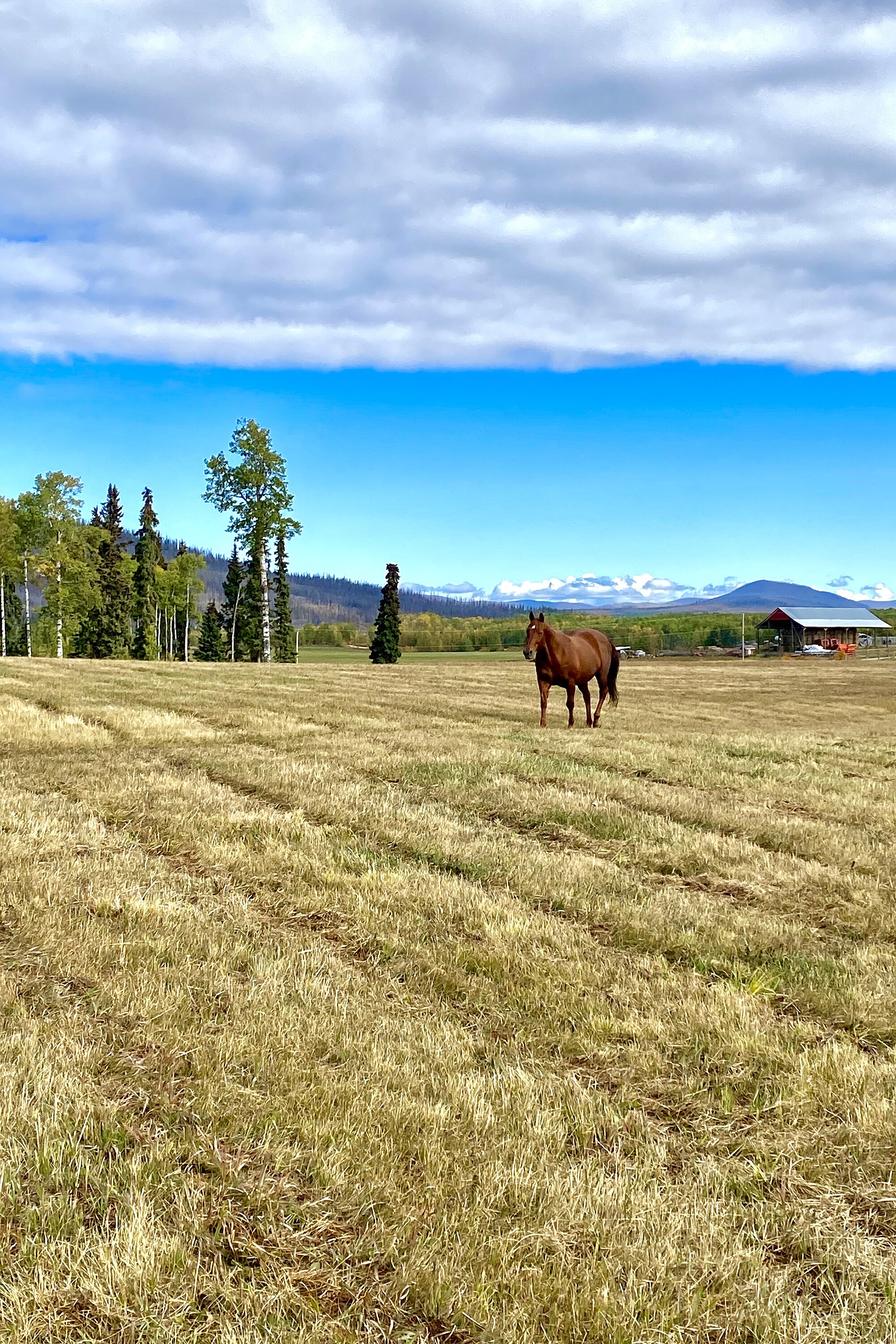  Waterfront Equestrian Living - 物件實景