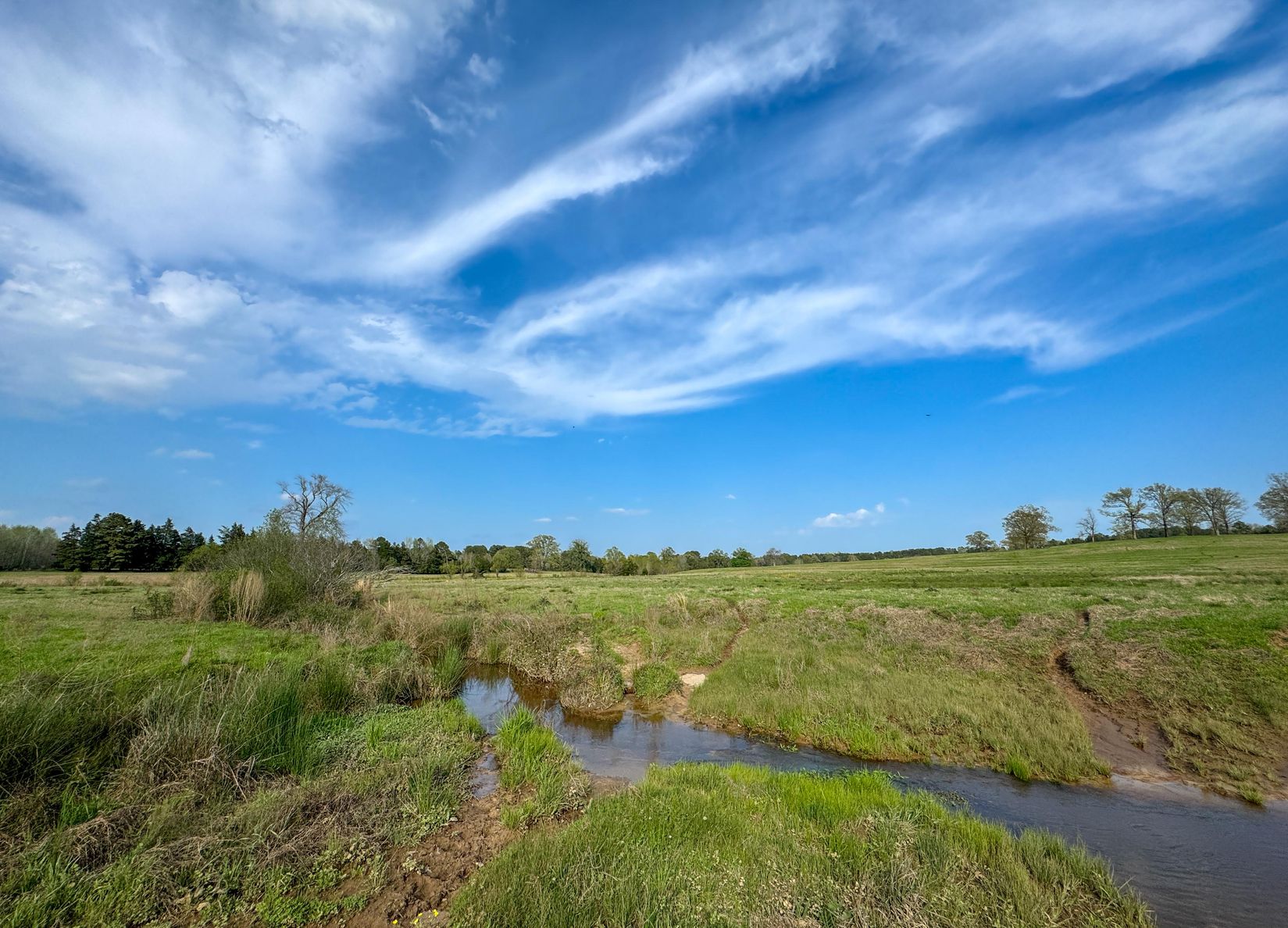 Bivins, Texas, 75555, United States, ,Residential,For Sale,1755933