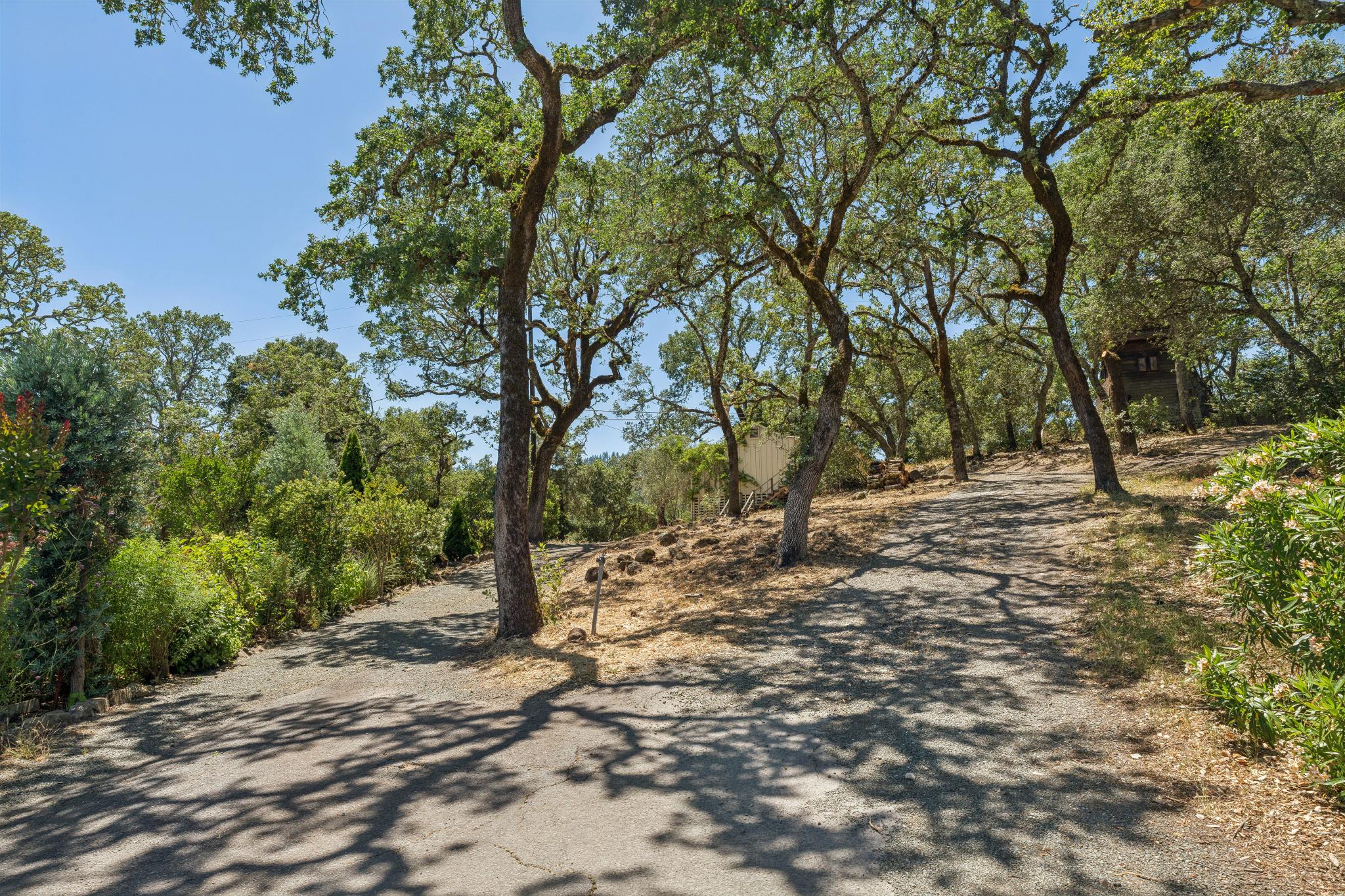  3393 St. Helena Hwy N. - 物件實景