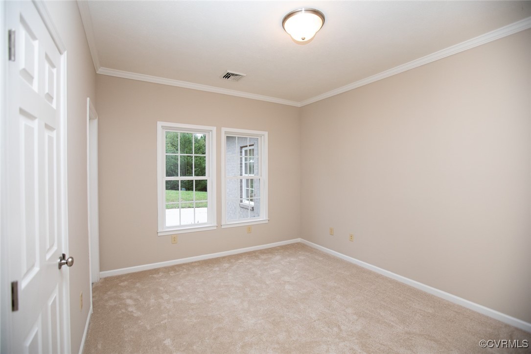 Farmville, Virginia, 23901, United States, 4 Bedrooms Bedrooms, ,5 BathroomsBathrooms,Residential,For Sale,1916348