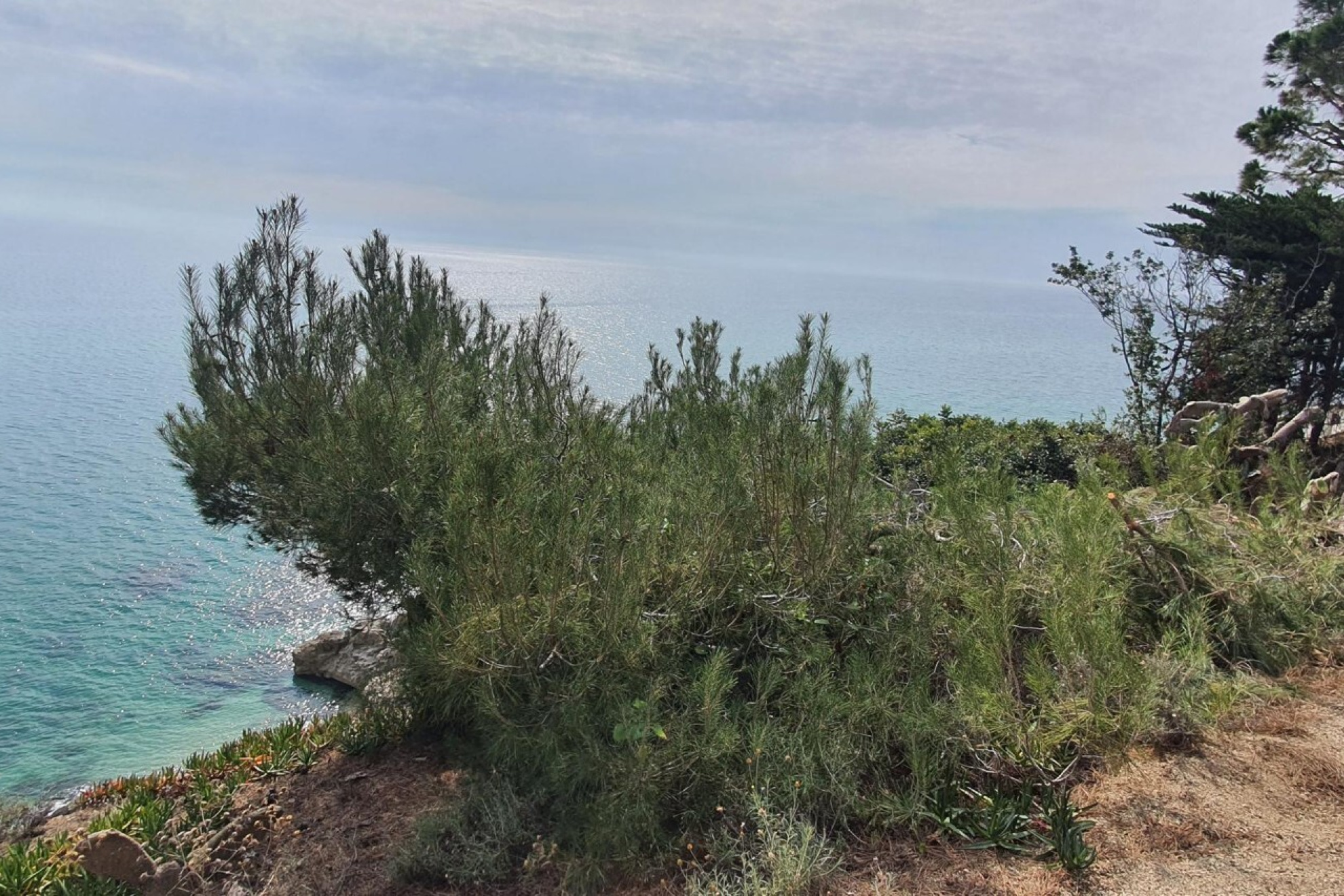  Unique plot in front of the sea. Build the house of your dreams. - 物件實景
