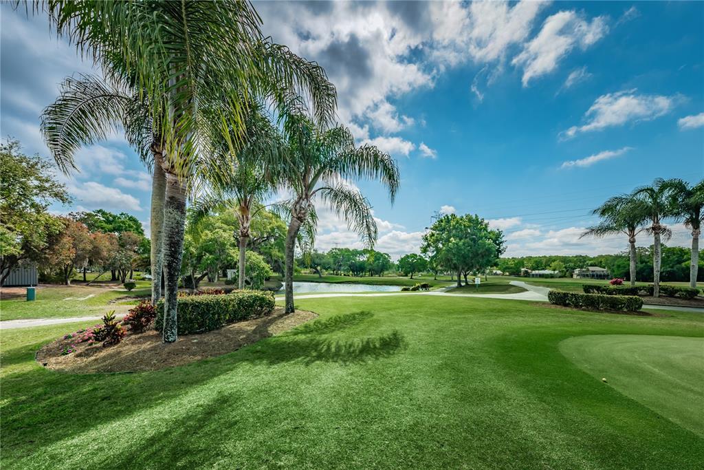 Oldsmar, Florida, 34677, United States, 3 Bedrooms Bedrooms, ,2 BathroomsBathrooms,Residential,For Sale,1933265