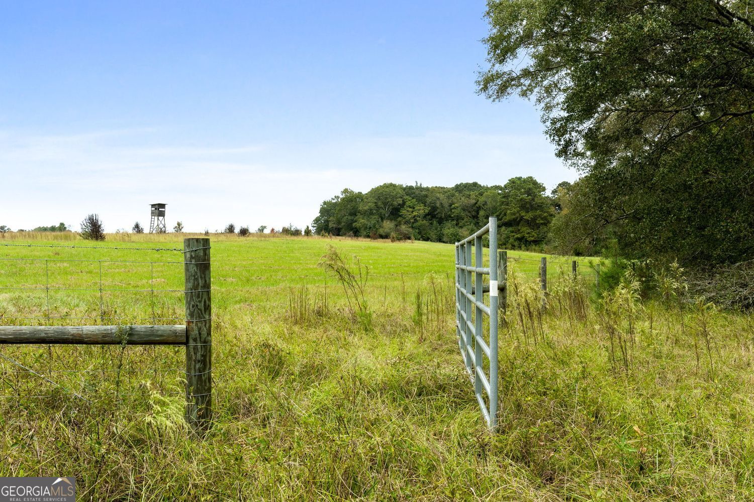 The Rock, Georgia, 30285, United States, ,Land,For Sale,1963371
