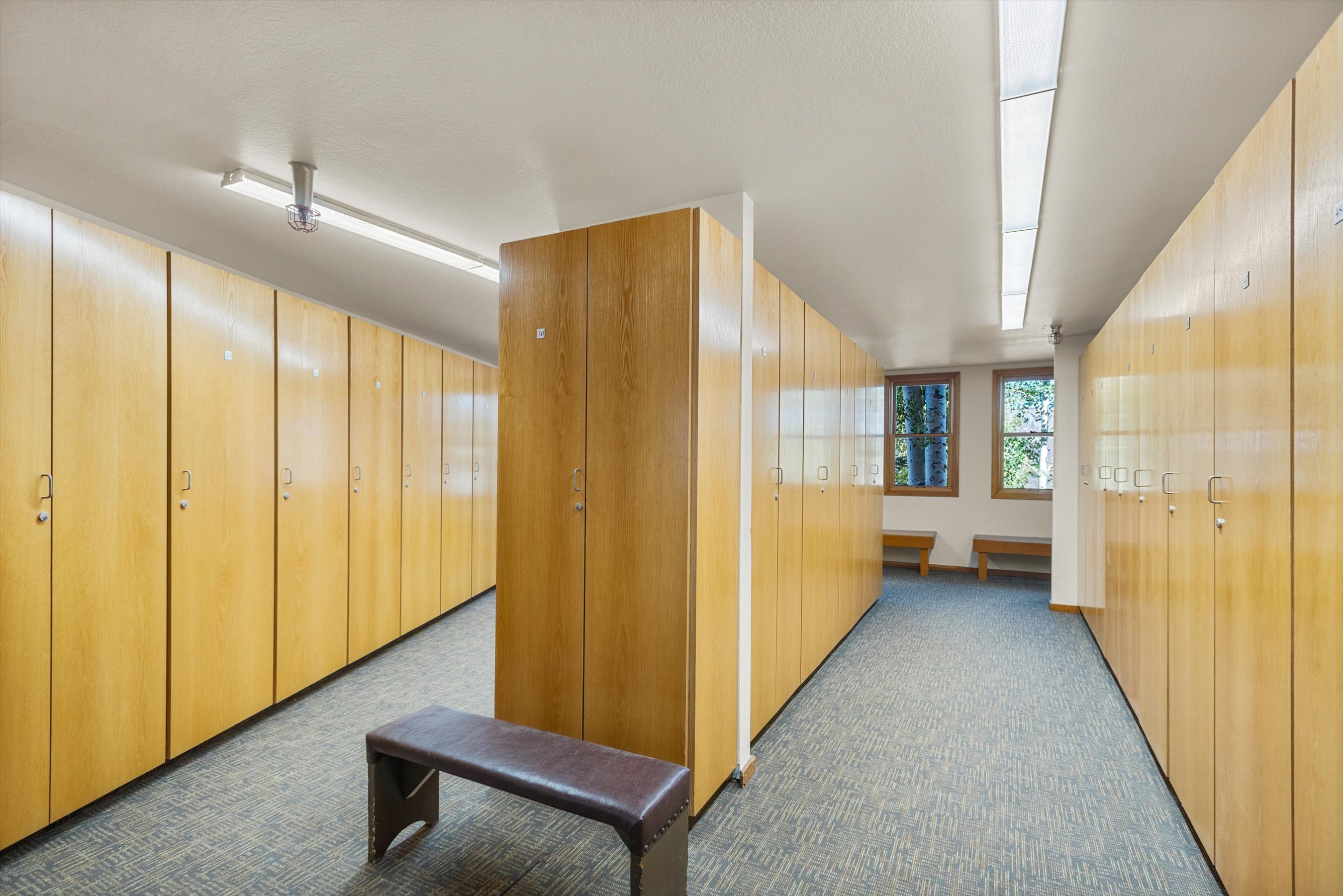  425 Wood Road, Snowmass Village, CO, 81615 - 物件實景