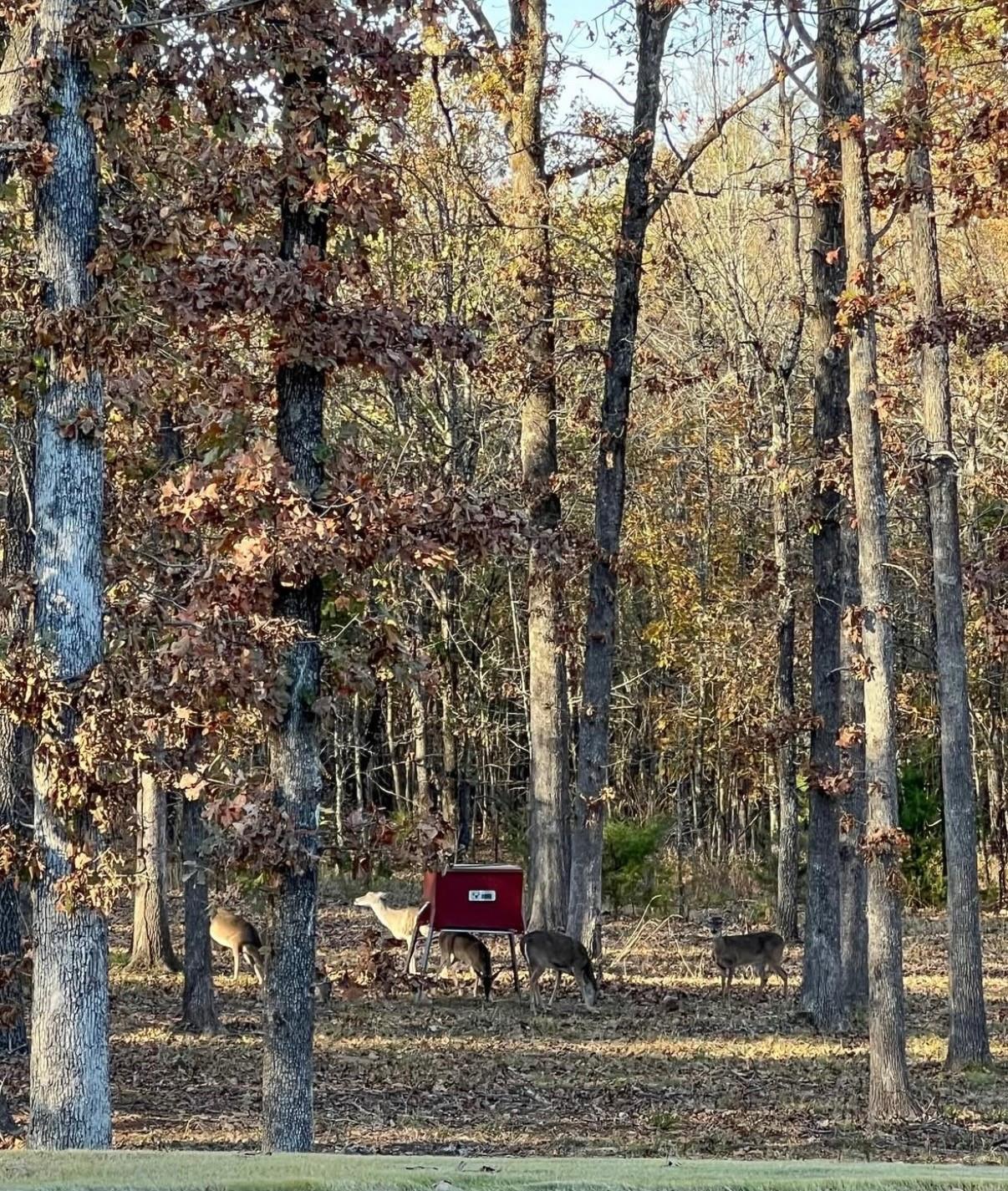 Paris, Texas, 75462, United States, 6 Bedrooms Bedrooms, ,5 BathroomsBathrooms,Residential,For Sale,1982546