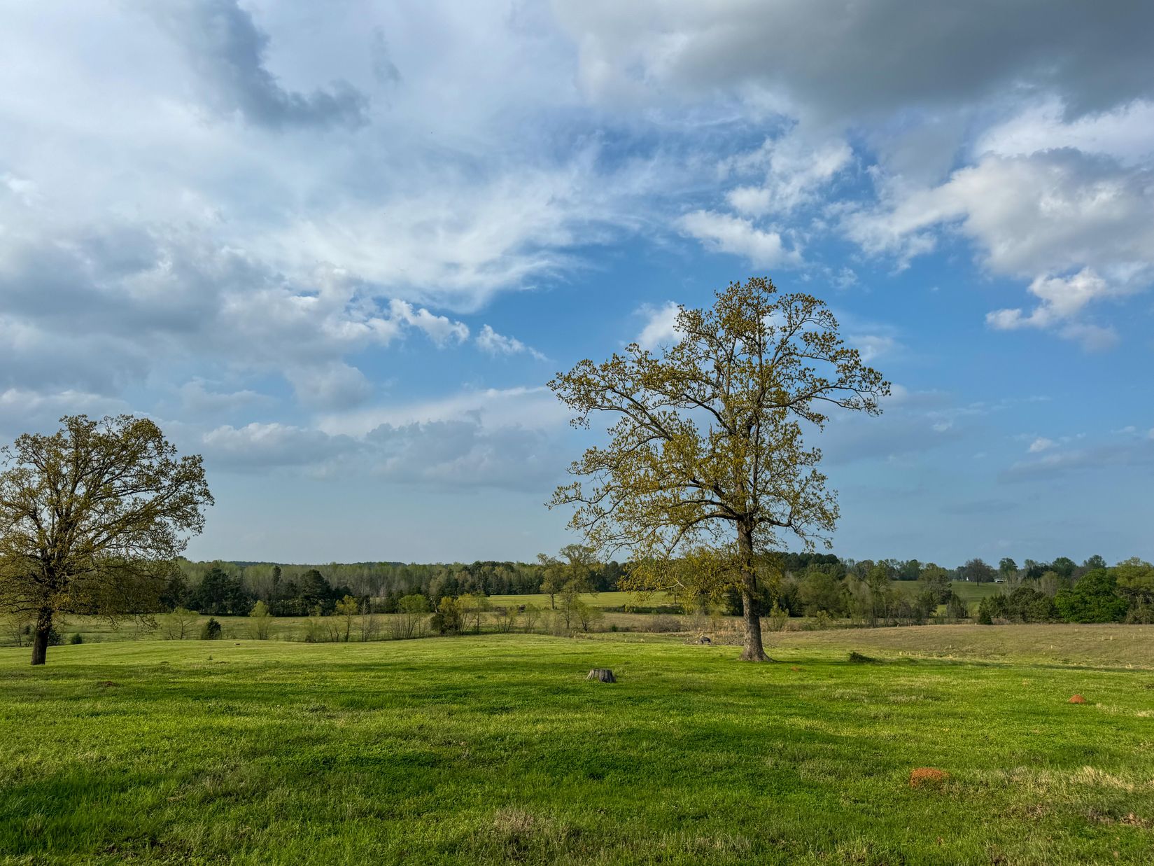 Bivins, Texas, 75555, United States, ,Residential,For Sale,1755933
