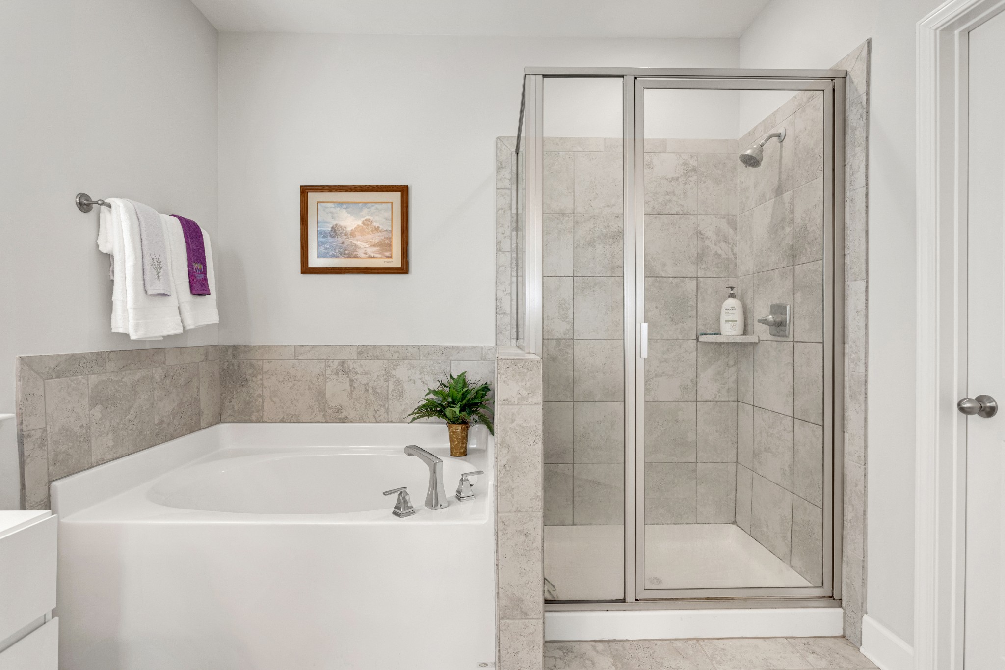  928 Carraway Ln, Spring Hill, TN, 37174 - 物件實景