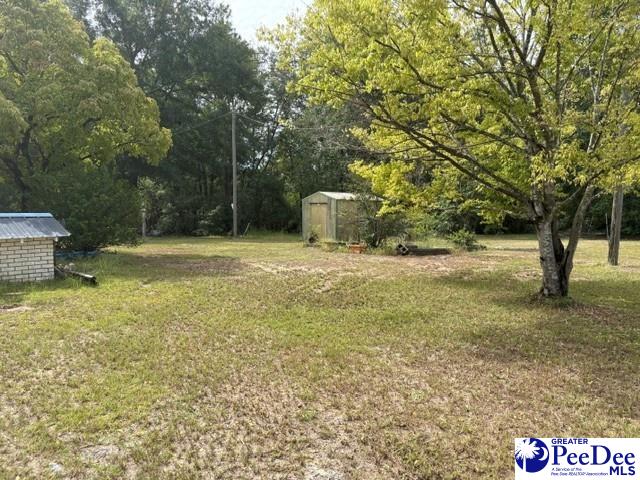 Old Camden Rd, Hartsville, SC 29550 #1