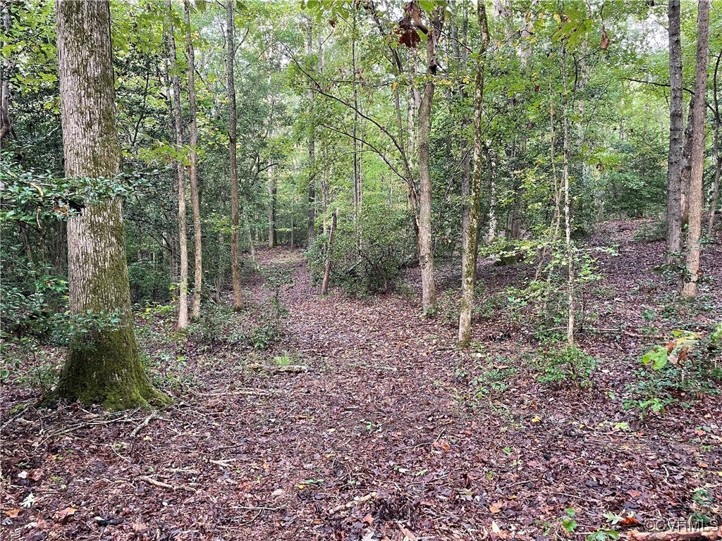 1105 Stewarts Road, Lanexa, Virginia, 23089, United States, ,Land,For Sale,1105 Stewarts Road,1632390