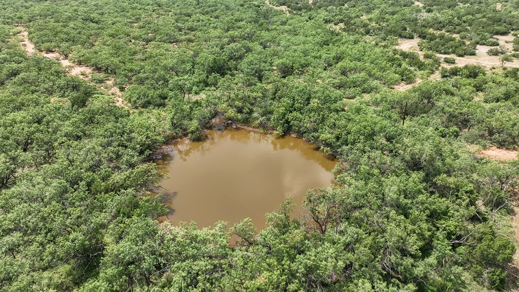 Tennyson, Texas, 76953, United States, ,Land,For Sale,1982007