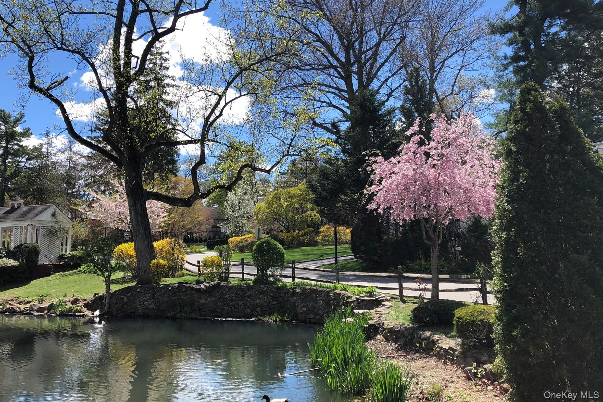  36 Strathmore Road, Great Neck, NY, 11023 - 物件實景