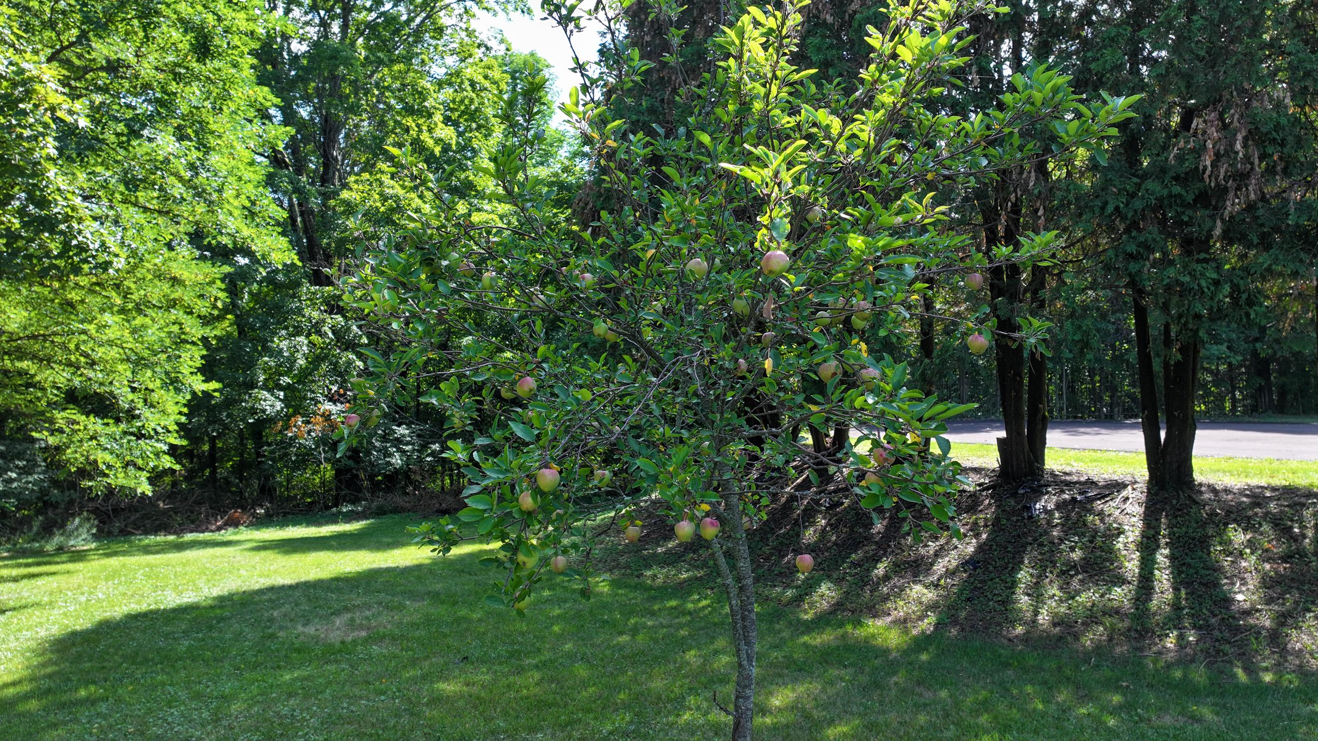  62 Fitzgerald Road, Hague, NY, 12836 - 物件實景