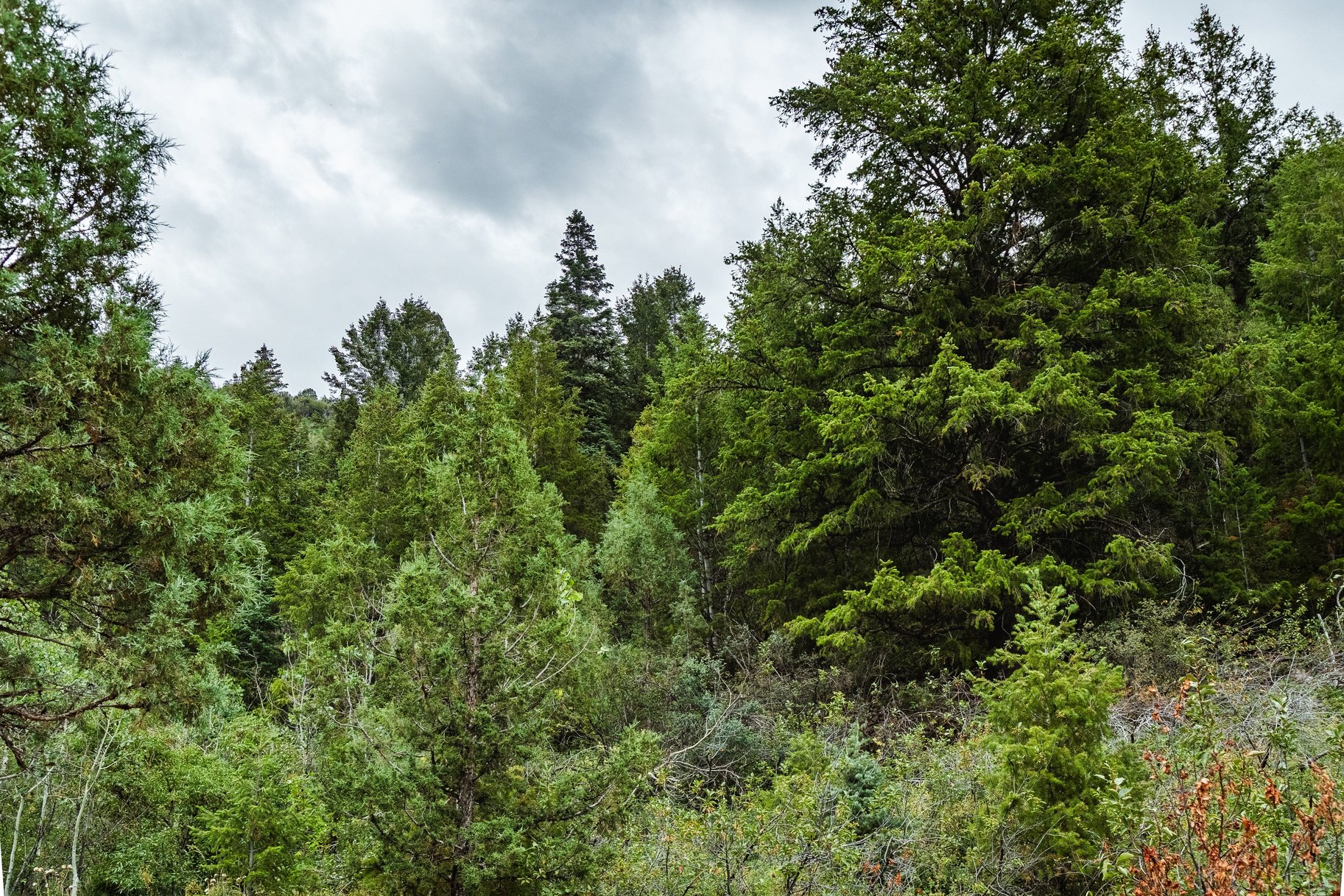  One+ Acre Off Mirror Lake Highway  Power, Septic Plan & Year Round Access - 物件實景