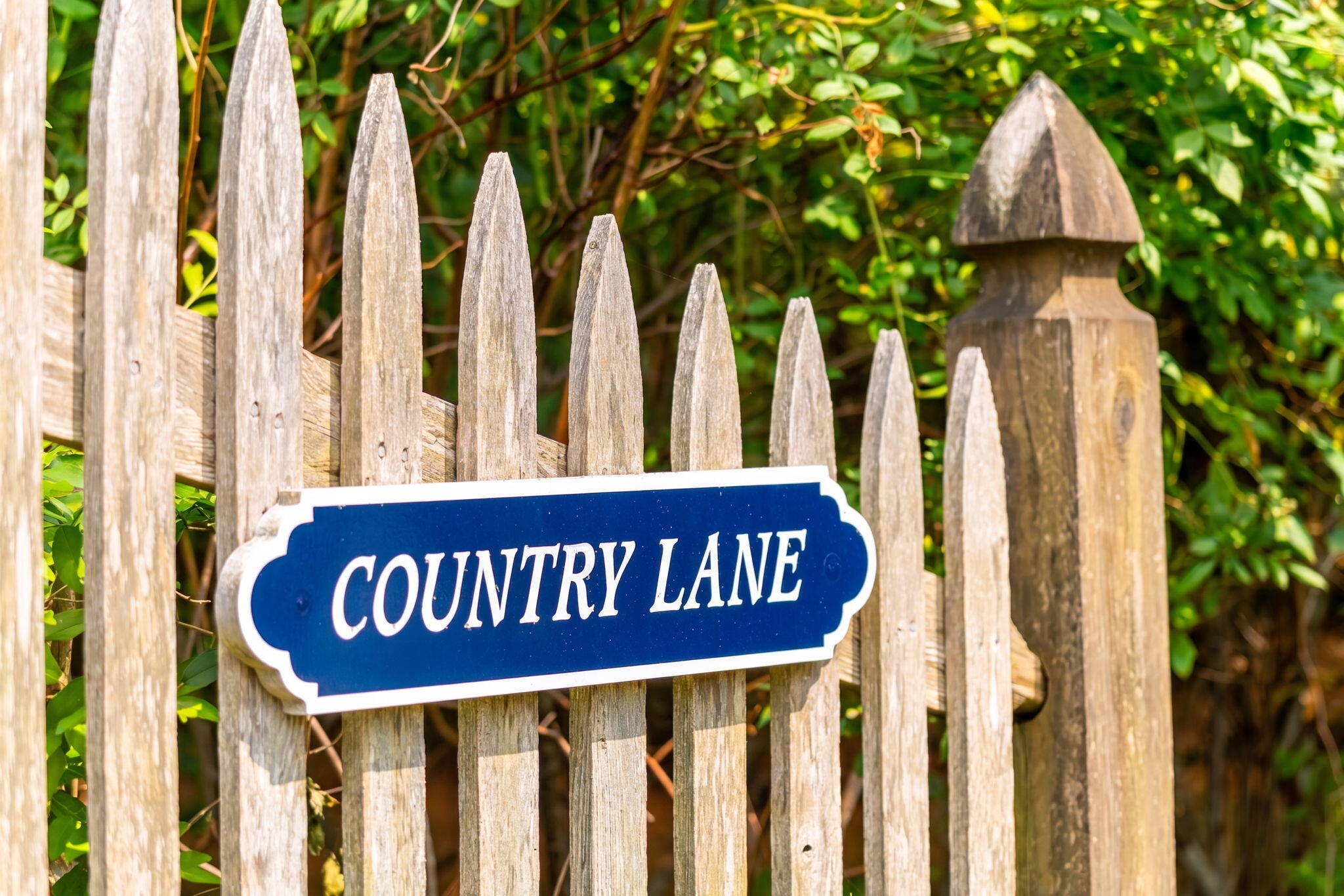  22 Country Lane - 物件實景