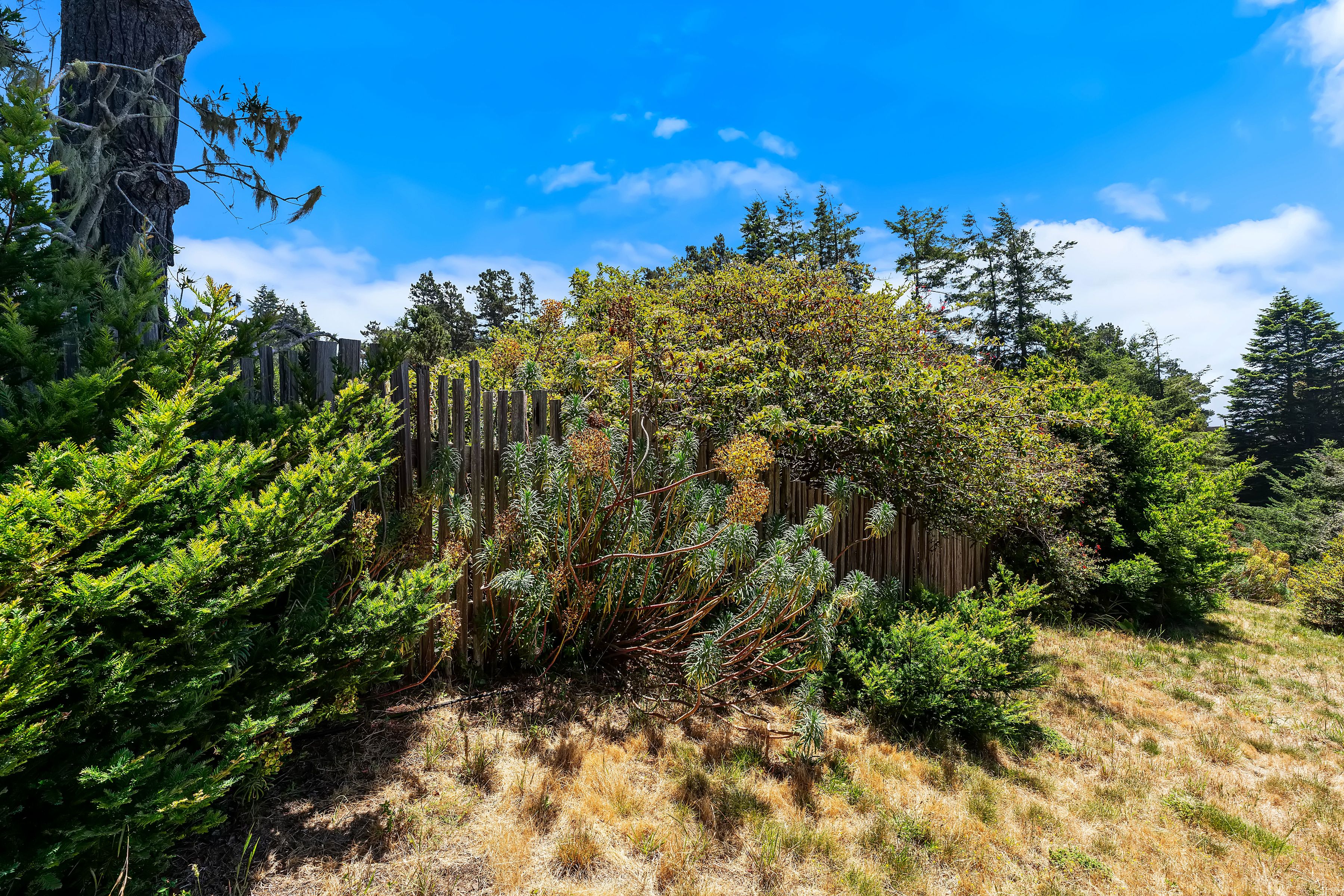  35926 Seaward Ranch, The Sea Ranch, CA 95497 - 物件實景