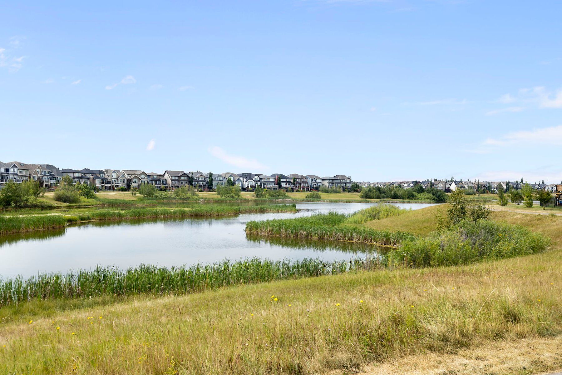  Calgary, Calgary and Foothills - 物件實景