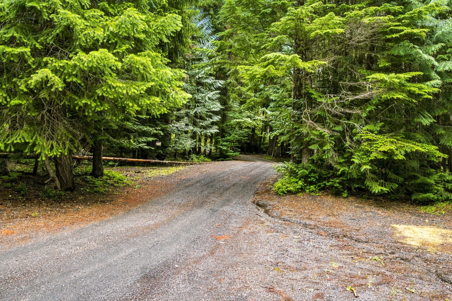  93732 E Highway 26 Government Camp, OR 97028 - 物件實景