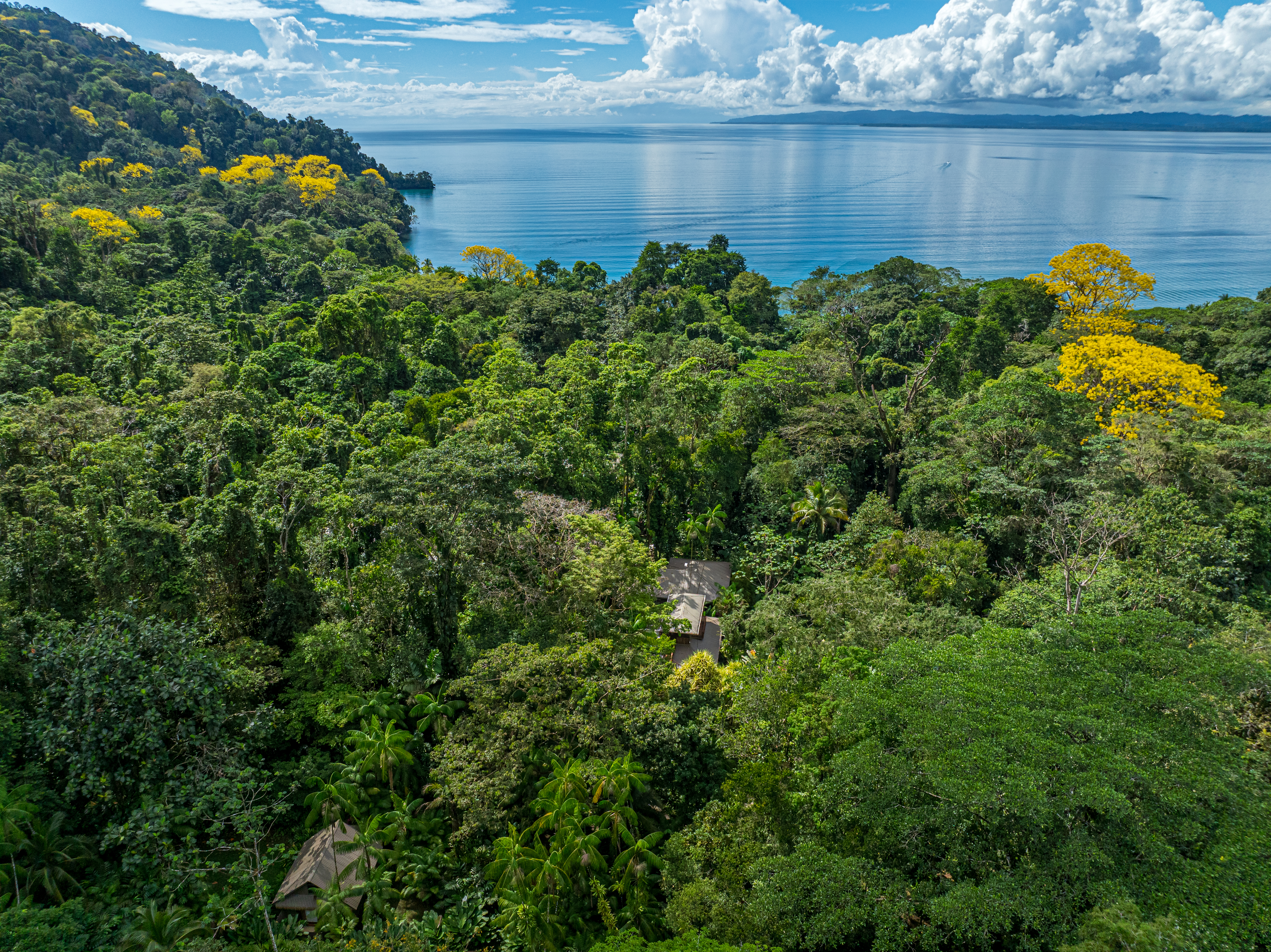 Golfito, Puntarenas, CR, 15 Bedrooms Bedrooms, ,13 BathroomsBathrooms,Residential,For Sale,1903279
