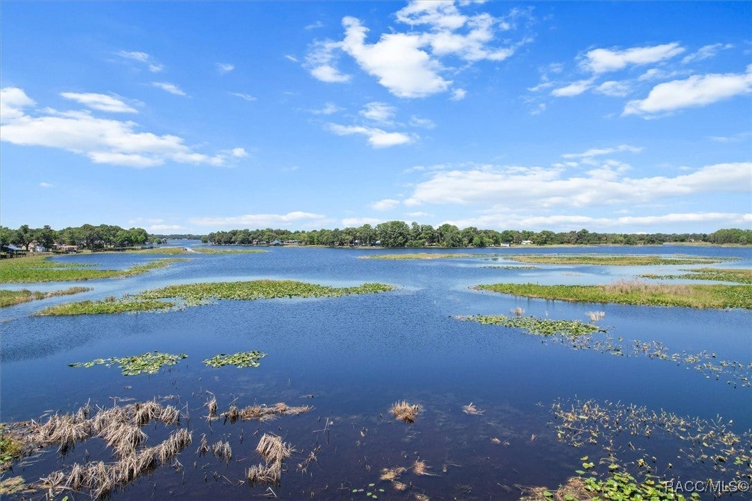 Inverness, Florida, 34450, United States, 3 Bedrooms Bedrooms, ,2 BathroomsBathrooms,Residential,For Sale,1777640