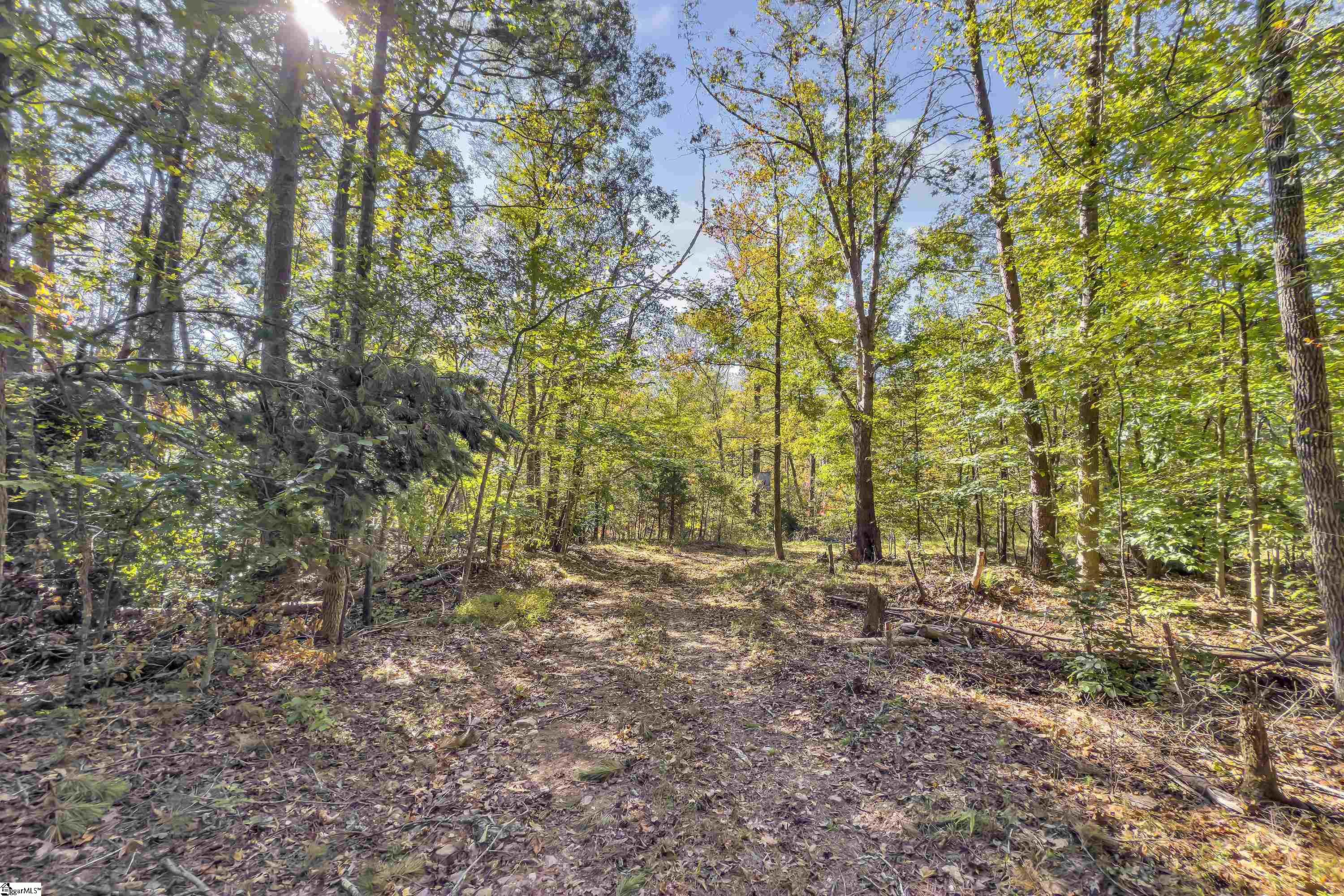 Old Converse Road, Spartanburg, South Carolina, 29301, United States, ,Land,For Sale,Old Converse Road,1647138