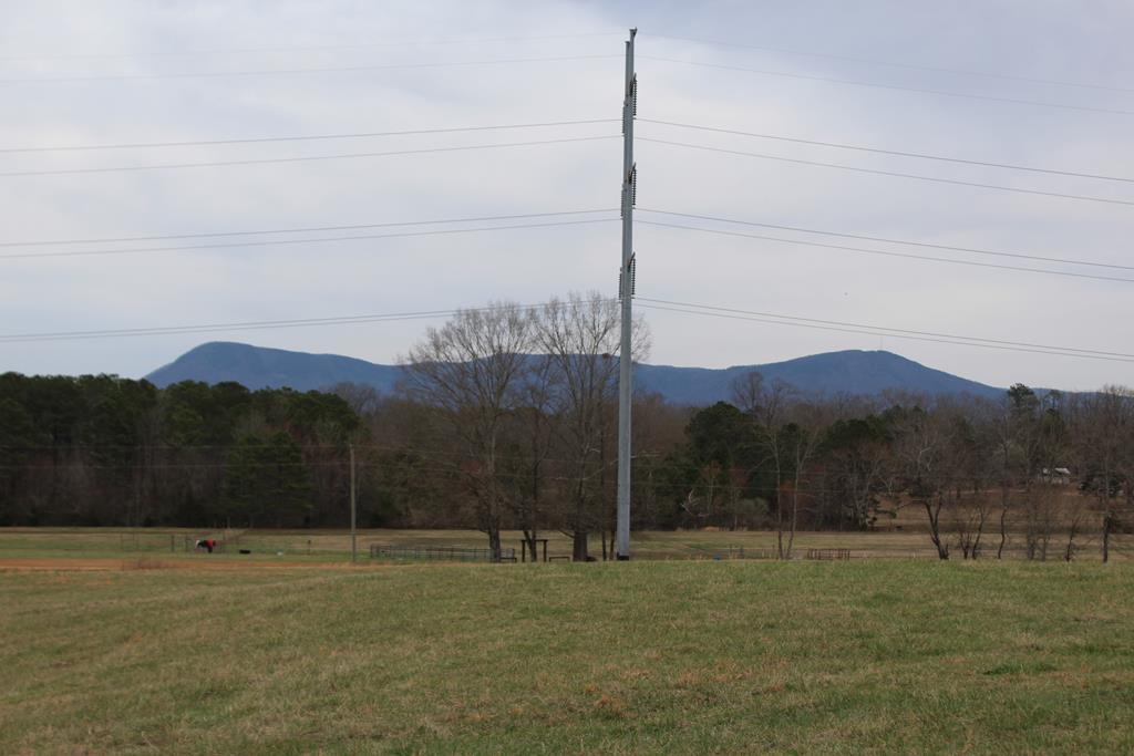 CHATSWORTH, Georgia, 30705, United States, ,Residential,For Sale,1986542