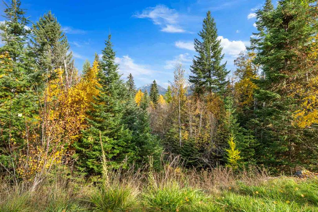 Bigfork, Montana, 59911, United States, 3 Bedrooms Bedrooms, ,2 BathroomsBathrooms,Residential,For Sale,1977128