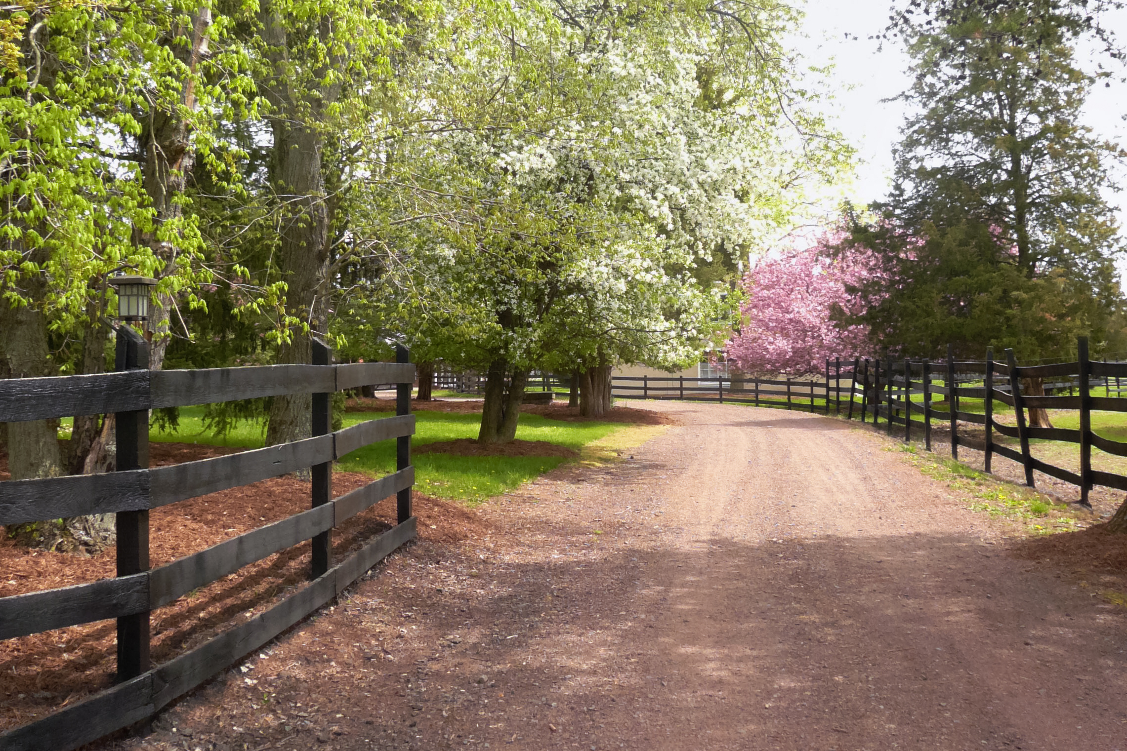  Turn-key Exceptional Princeton Area Equestrian Estate and Preserved Farm - 物件實景