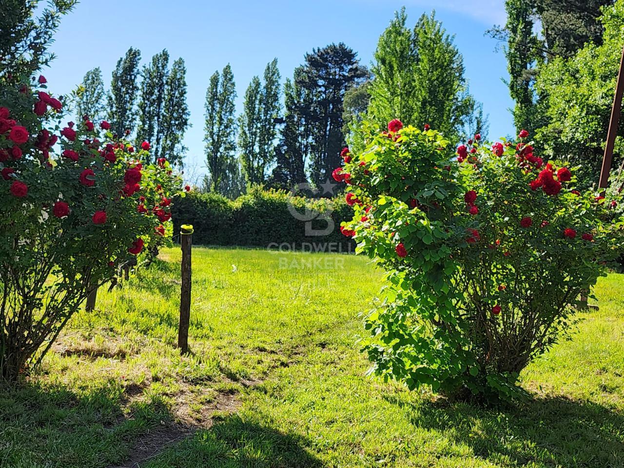 Los Ángeles, Chile, 3 Bedrooms Bedrooms, ,2 BathroomsBathrooms,Residential,For Sale,1905999