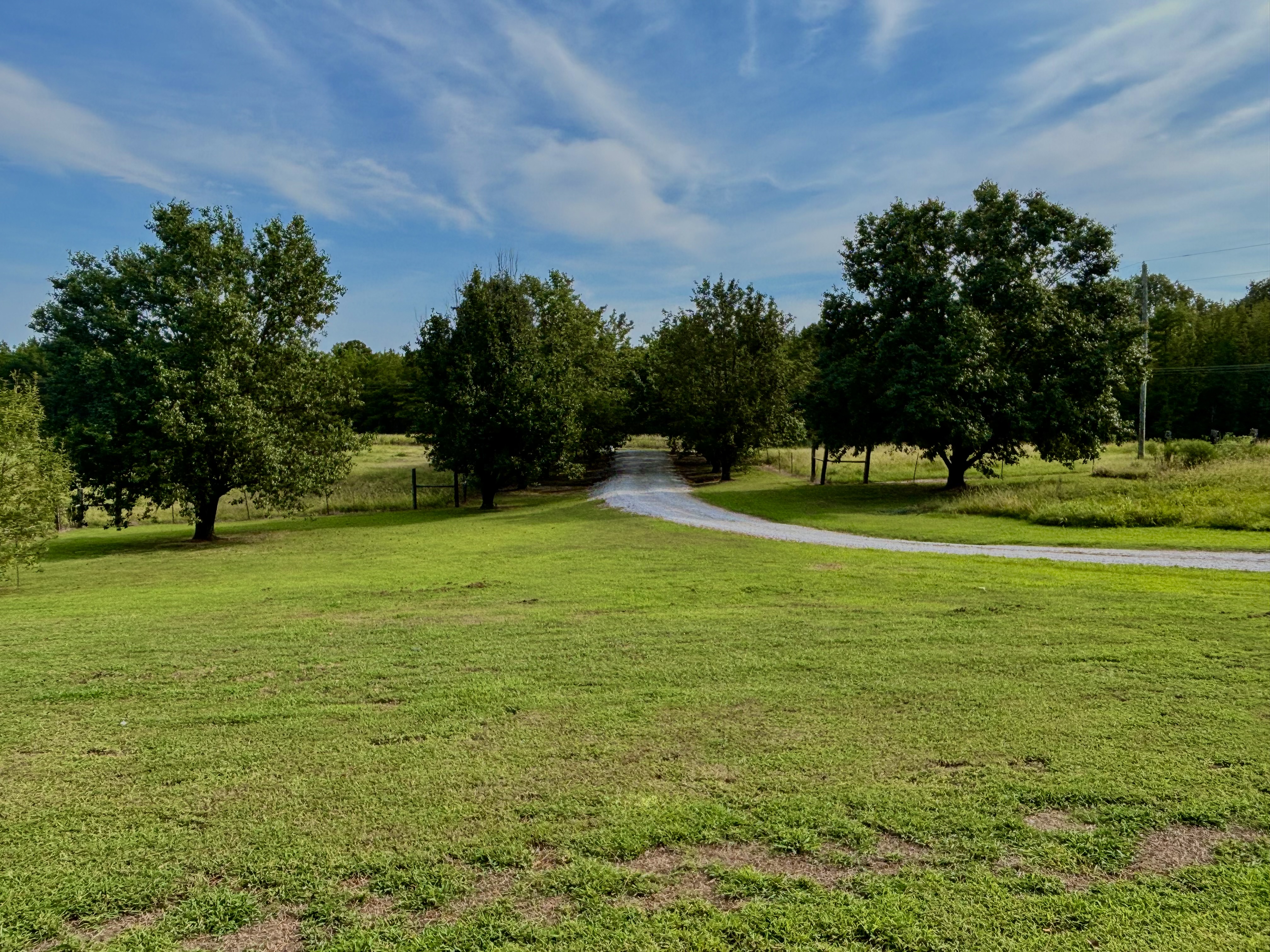 Algoma, Mississippi, 38863, United States, 4 Bedrooms Bedrooms, ,2 BathroomsBathrooms,Residential,For Sale,1928744