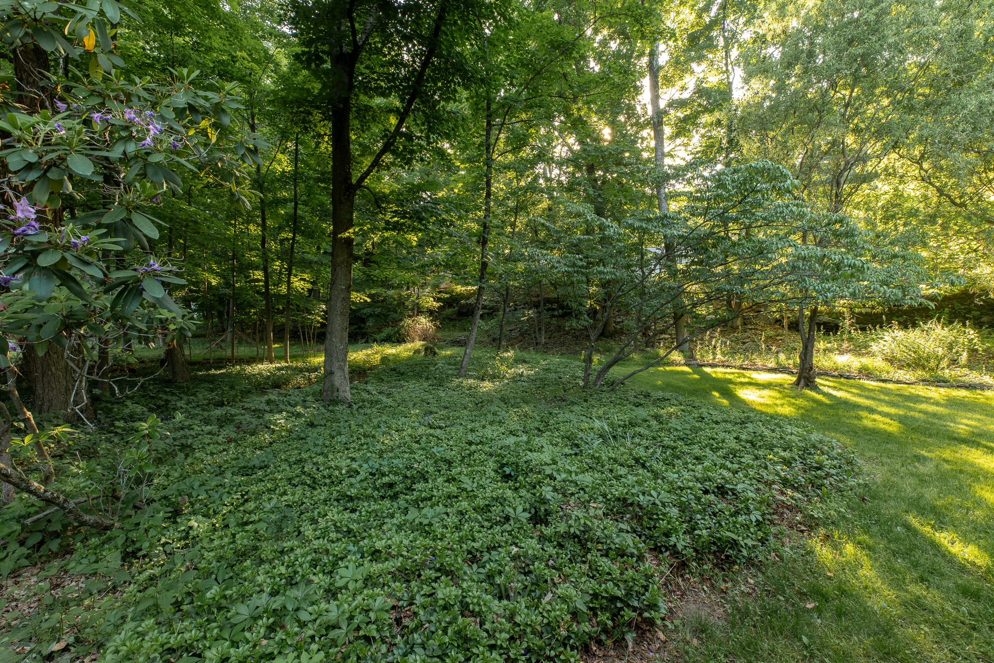  7 Arnold Drive, Woodstock, NY, 12498 - 物件實景
